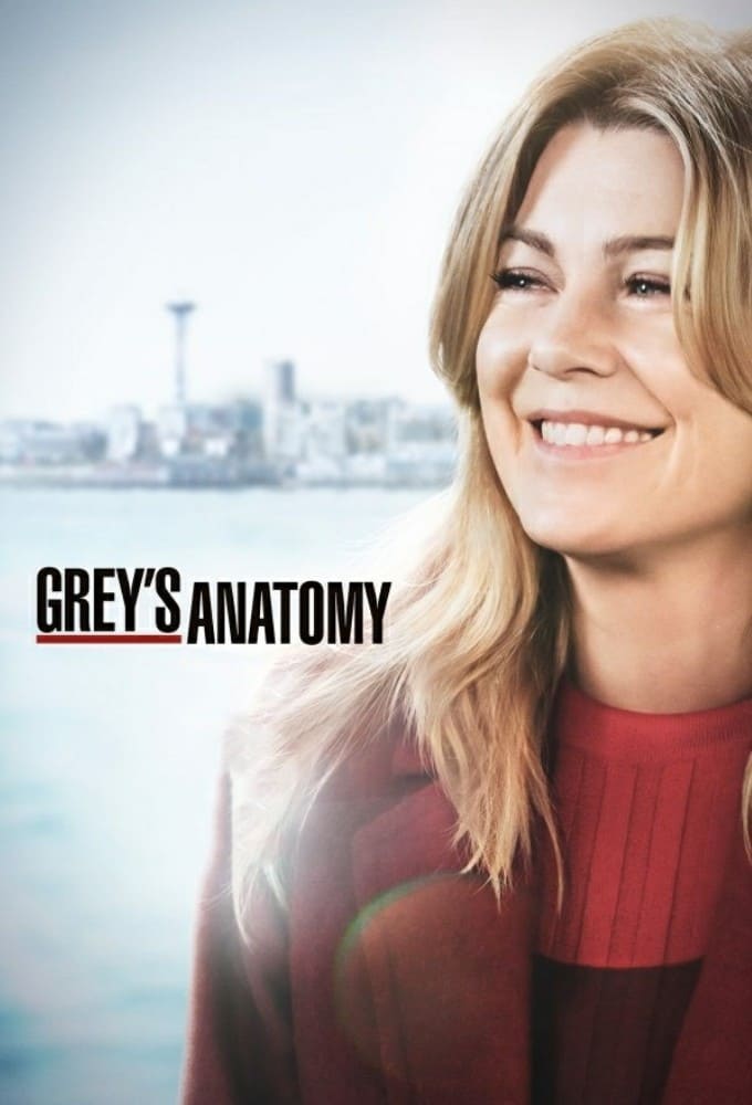 Immagine Poster serie TV 18 Grey's Anatomy