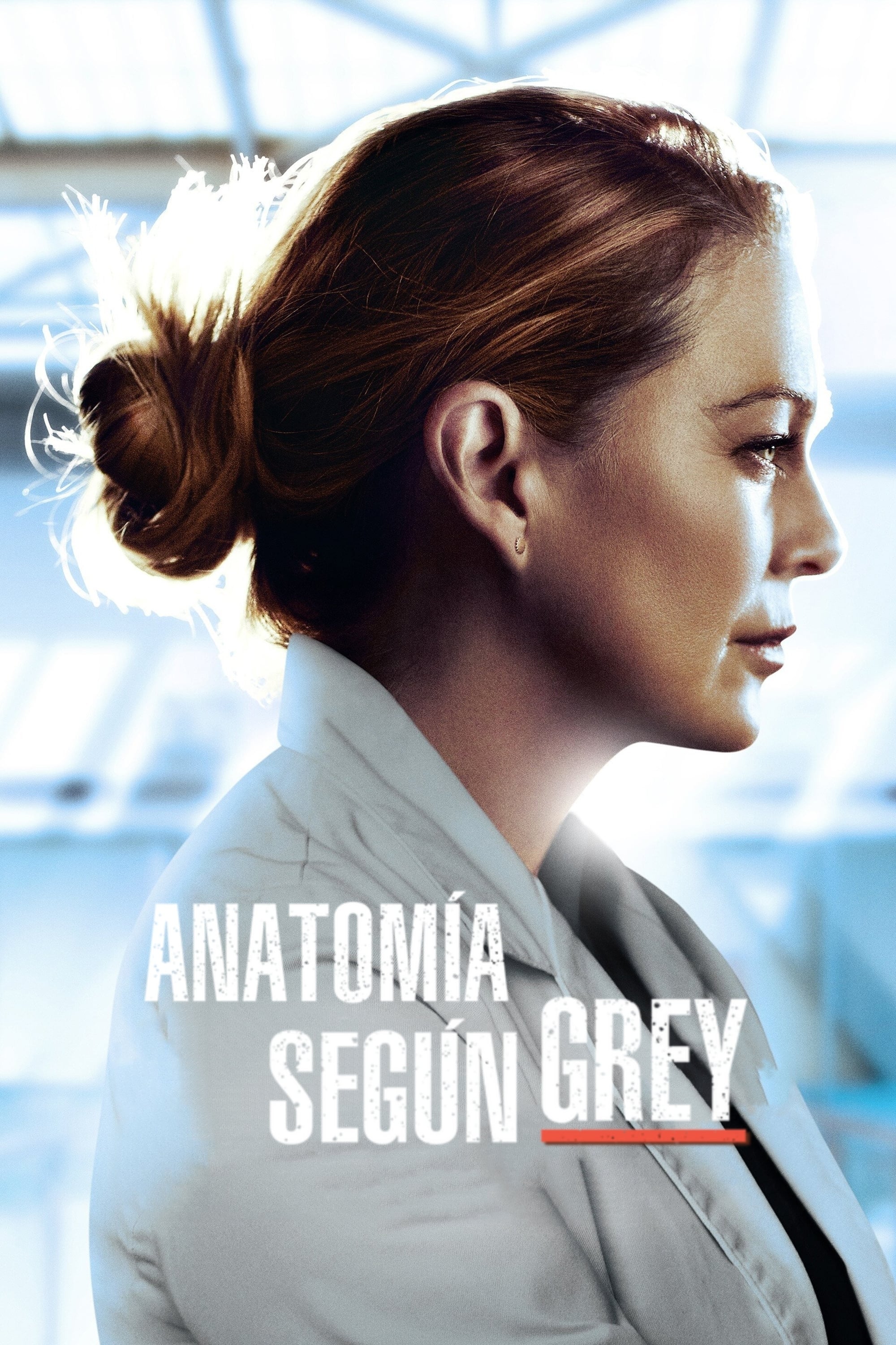 Immagine Poster serie TV 60 Grey's Anatomy