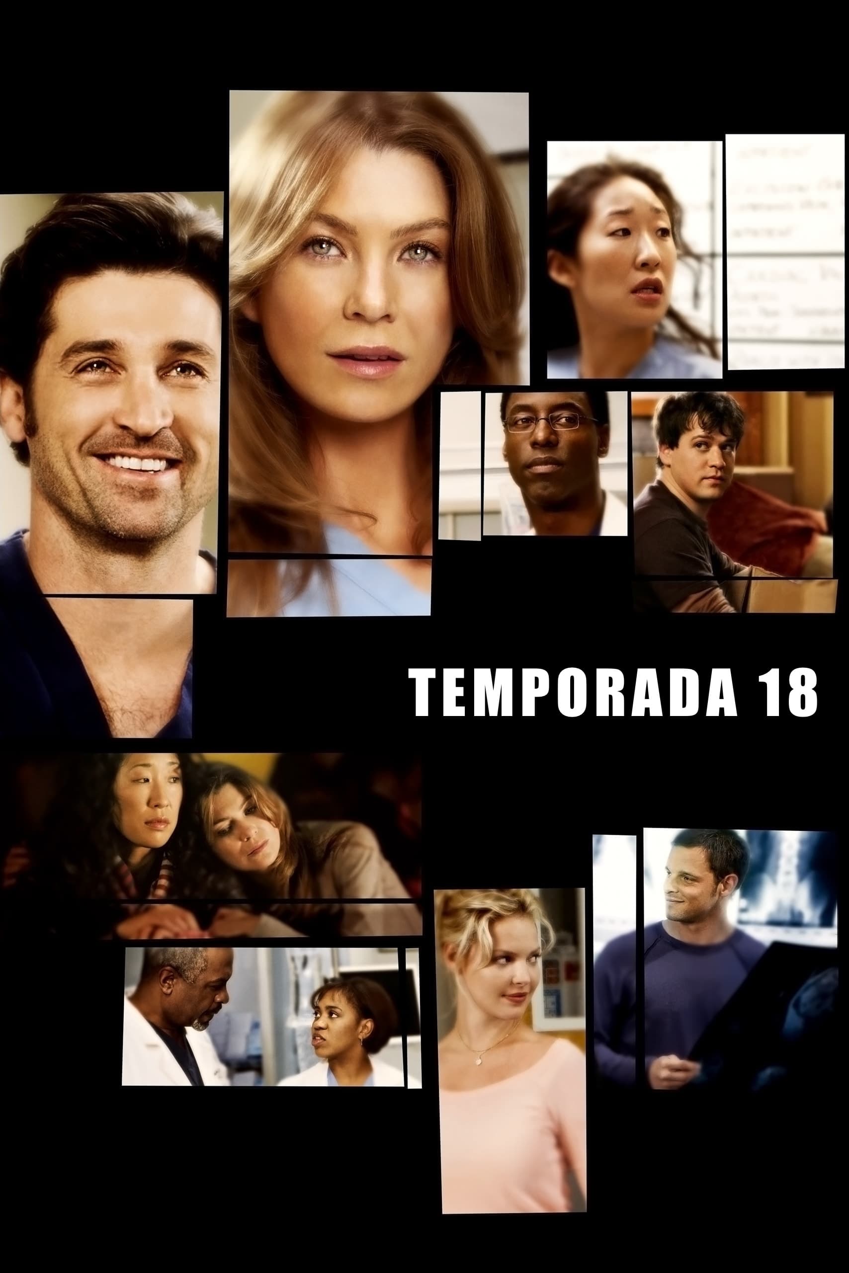 Immagine Poster serie TV 74 Grey's Anatomy