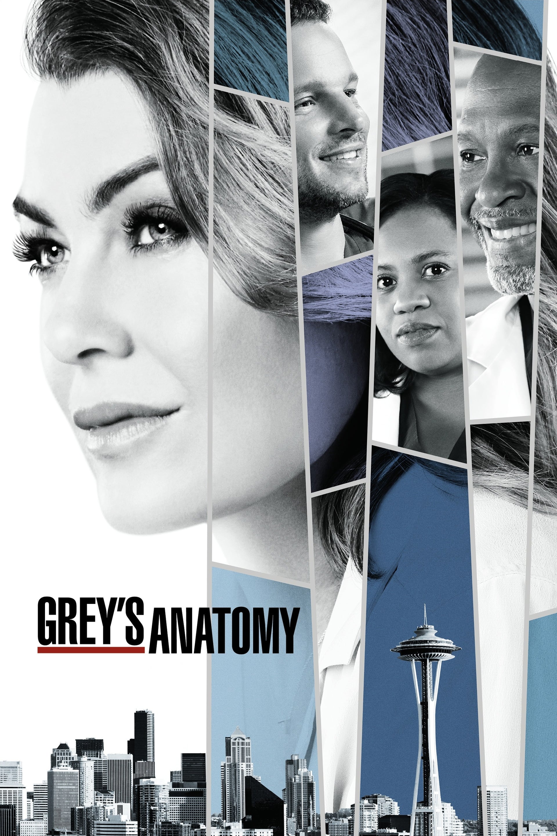 Immagine Poster serie TV 8 Grey's Anatomy