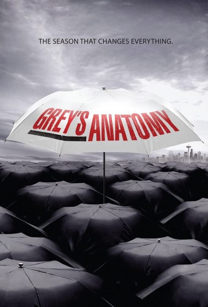 Immagine Poster serie TV 19 Grey's Anatomy