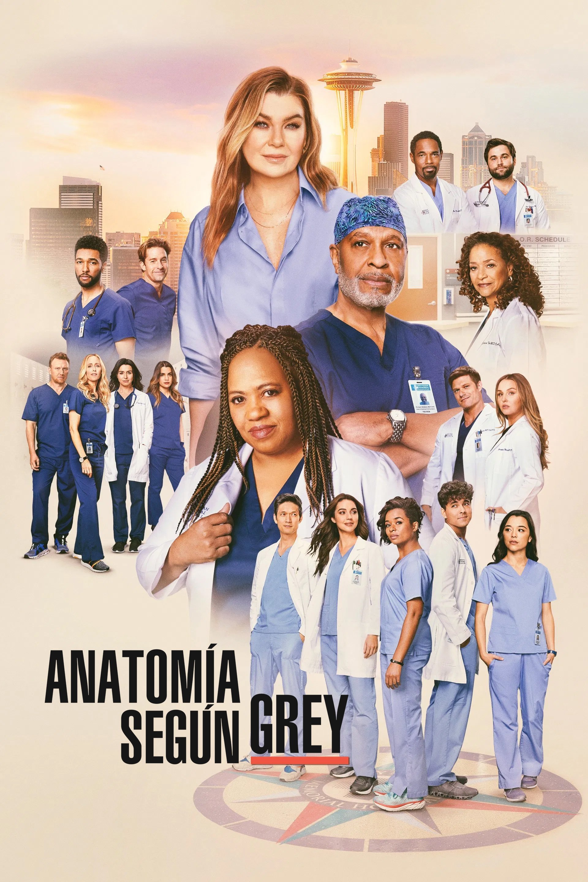 Immagine Poster serie TV 16 Grey's Anatomy
