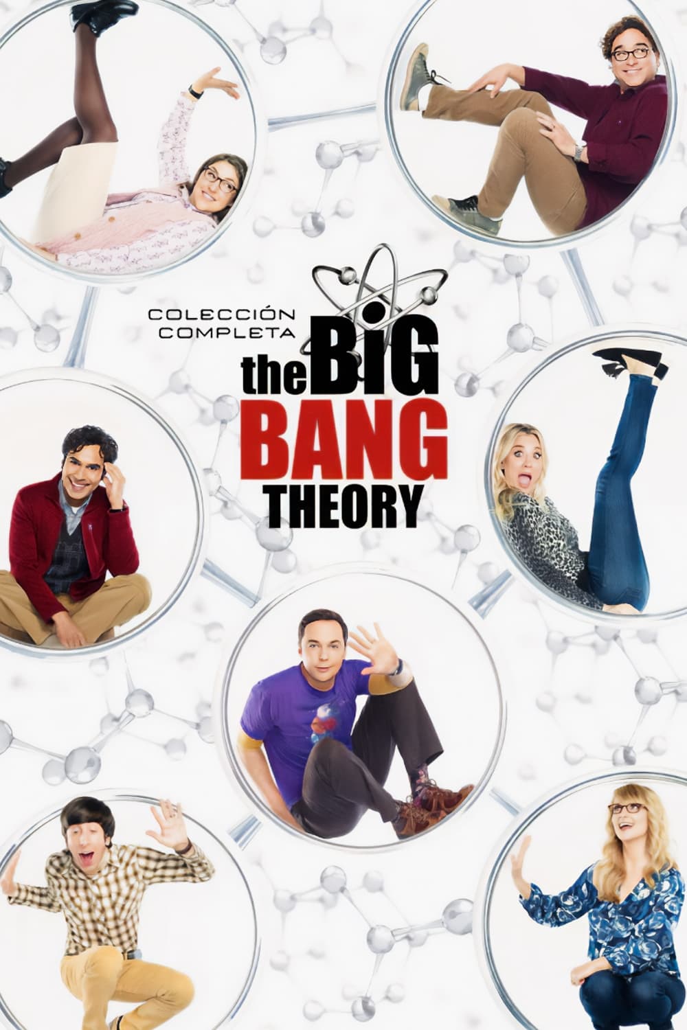 Immagine Poster serie TV 5 The Big Bang Theory