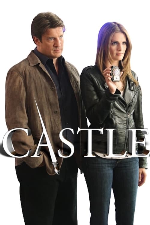 Immagine Poster serie TV 61 Castle - Detective tra le righe