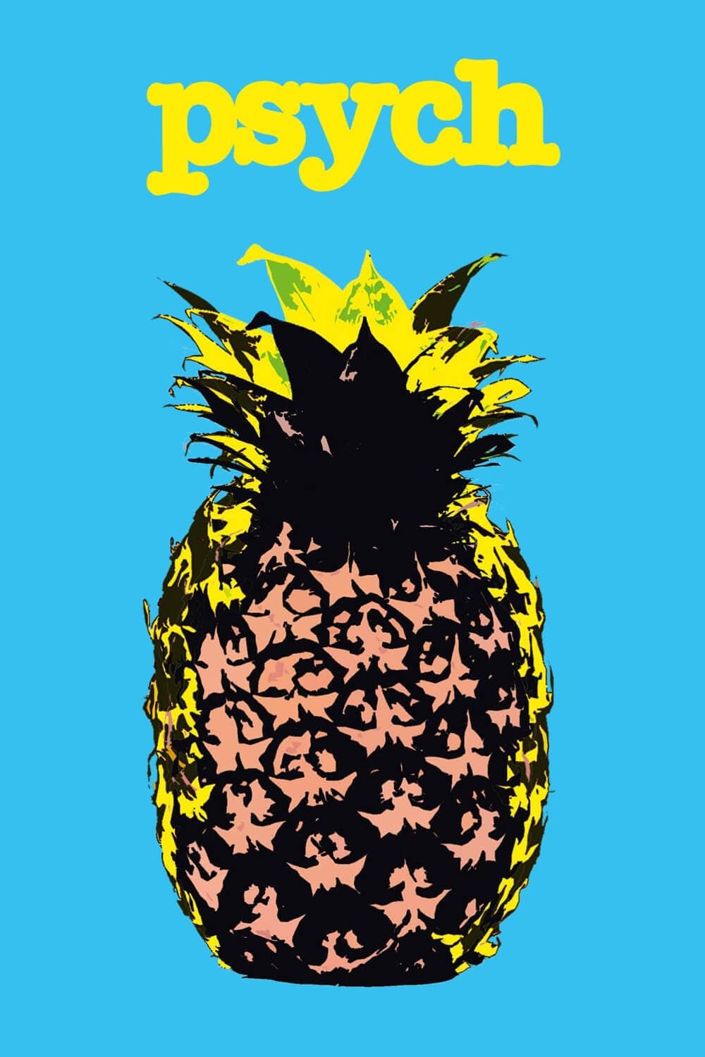 Immagine Poster serie TV 29 Psych