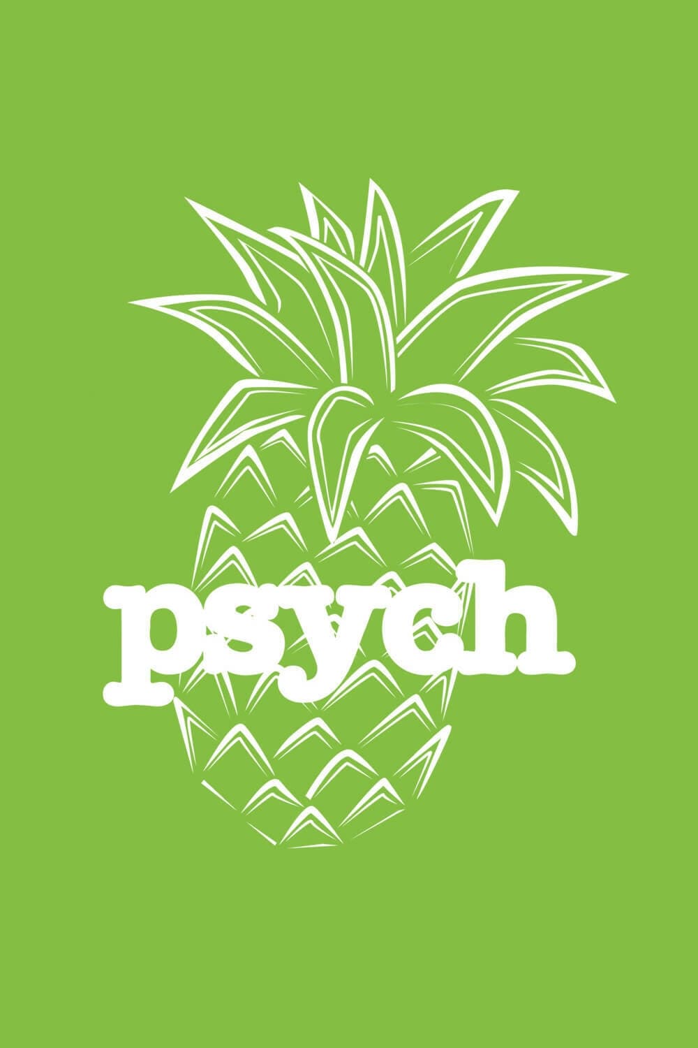 Immagine Poster serie TV 21 Psych