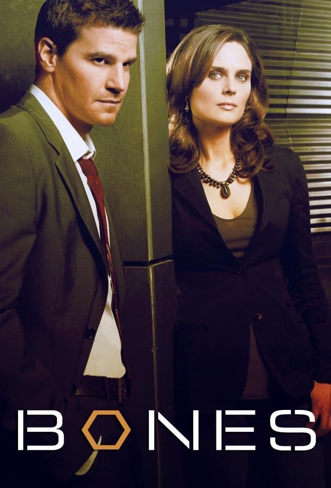 Immagine Poster serie TV 15 Bones