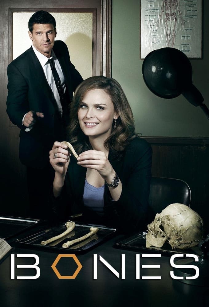 Immagine Poster serie TV 12 Bones