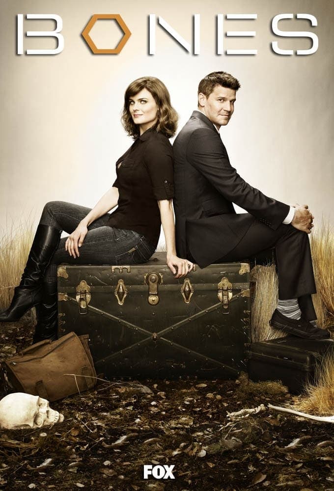 Immagine Poster serie TV 68 Bones