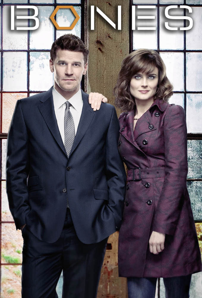 Immagine Poster serie TV 17 Bones