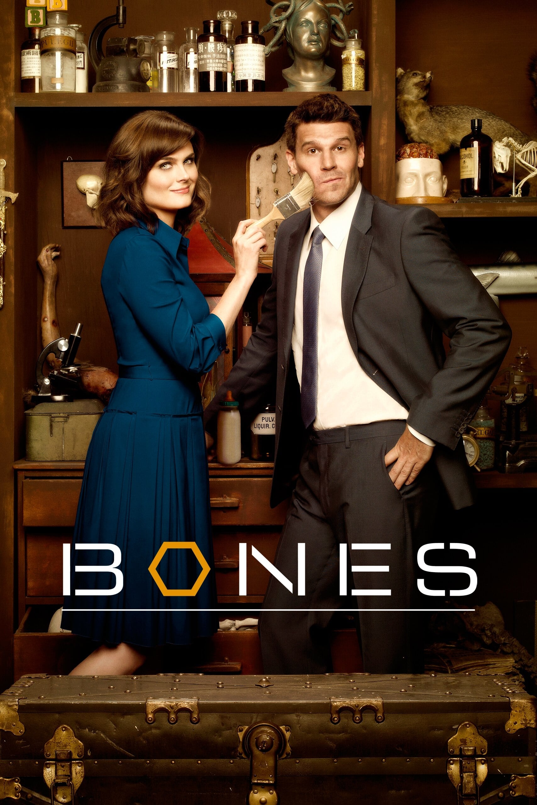 Immagine Poster serie TV 8 Bones