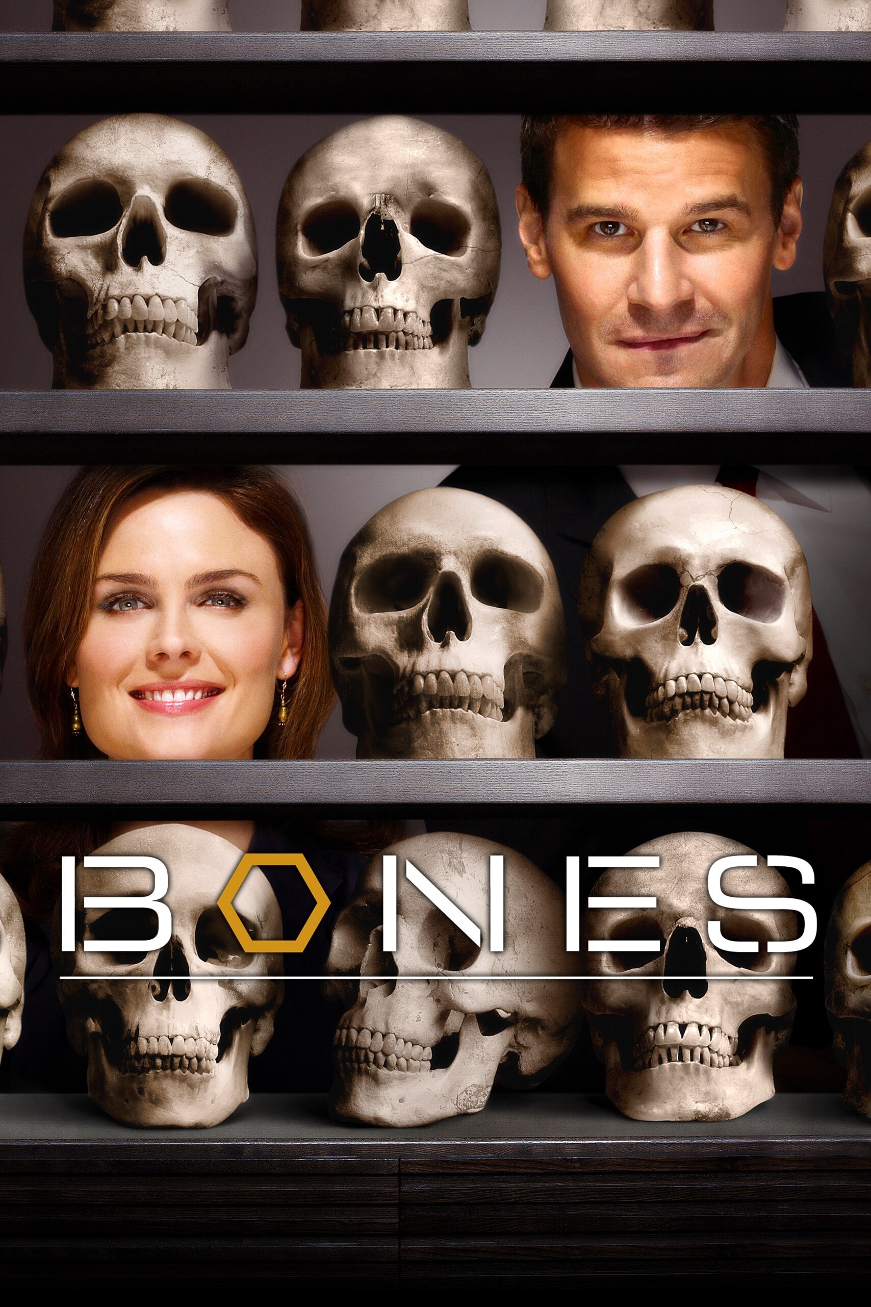 Immagine Poster serie TV 6 Bones