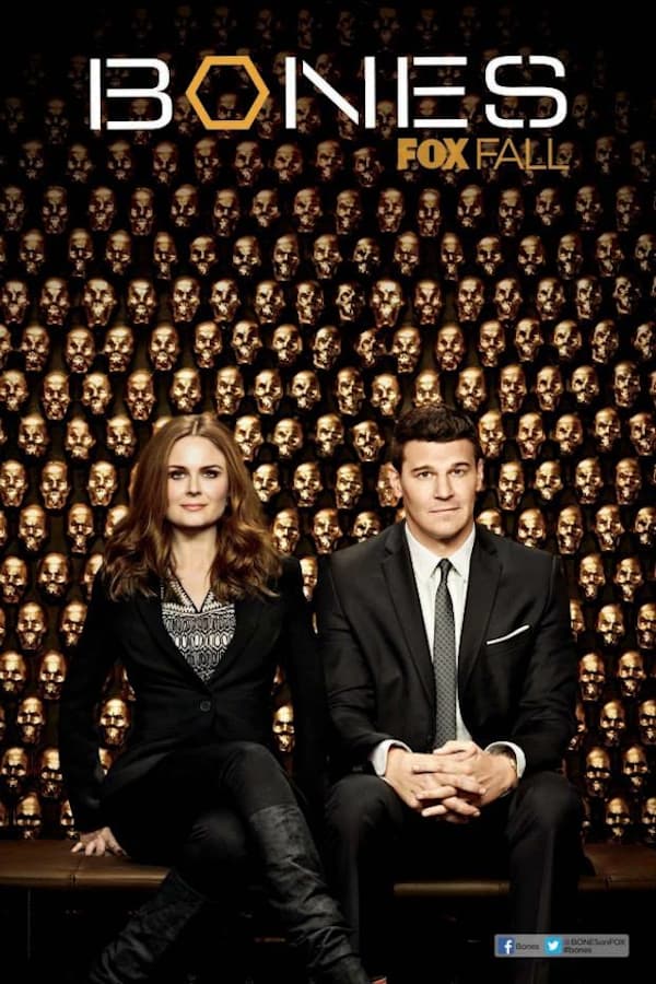 Immagine Poster serie TV 72 Bones
