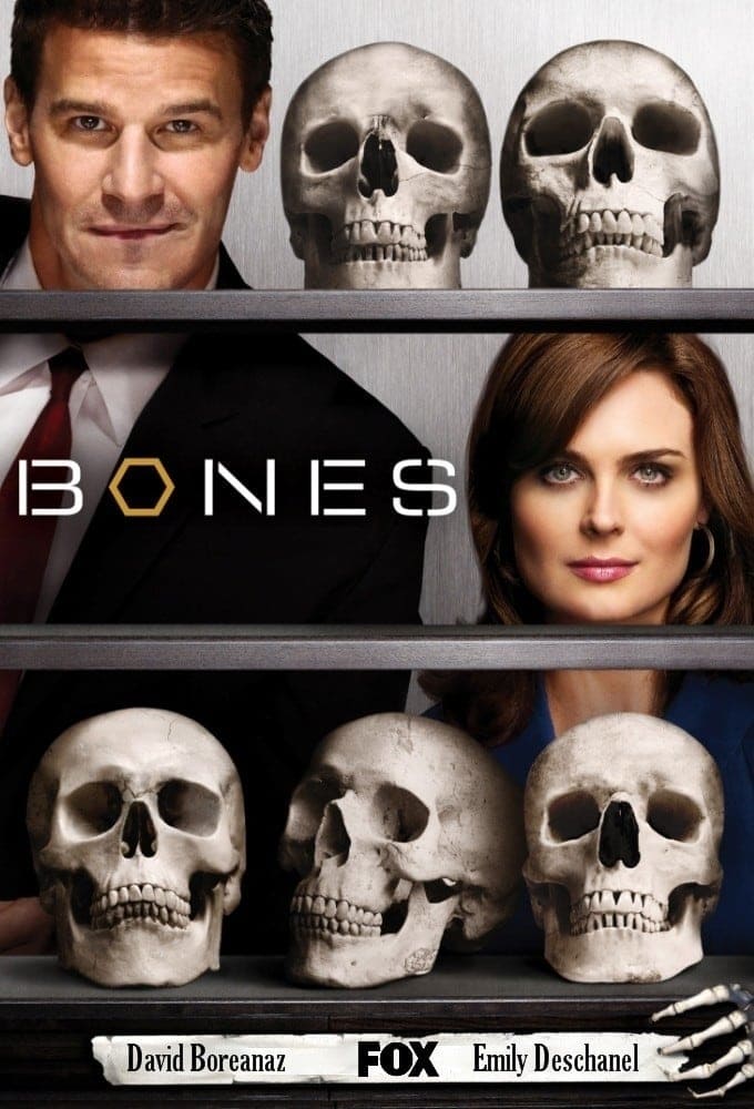 Immagine Poster serie TV 66 Bones