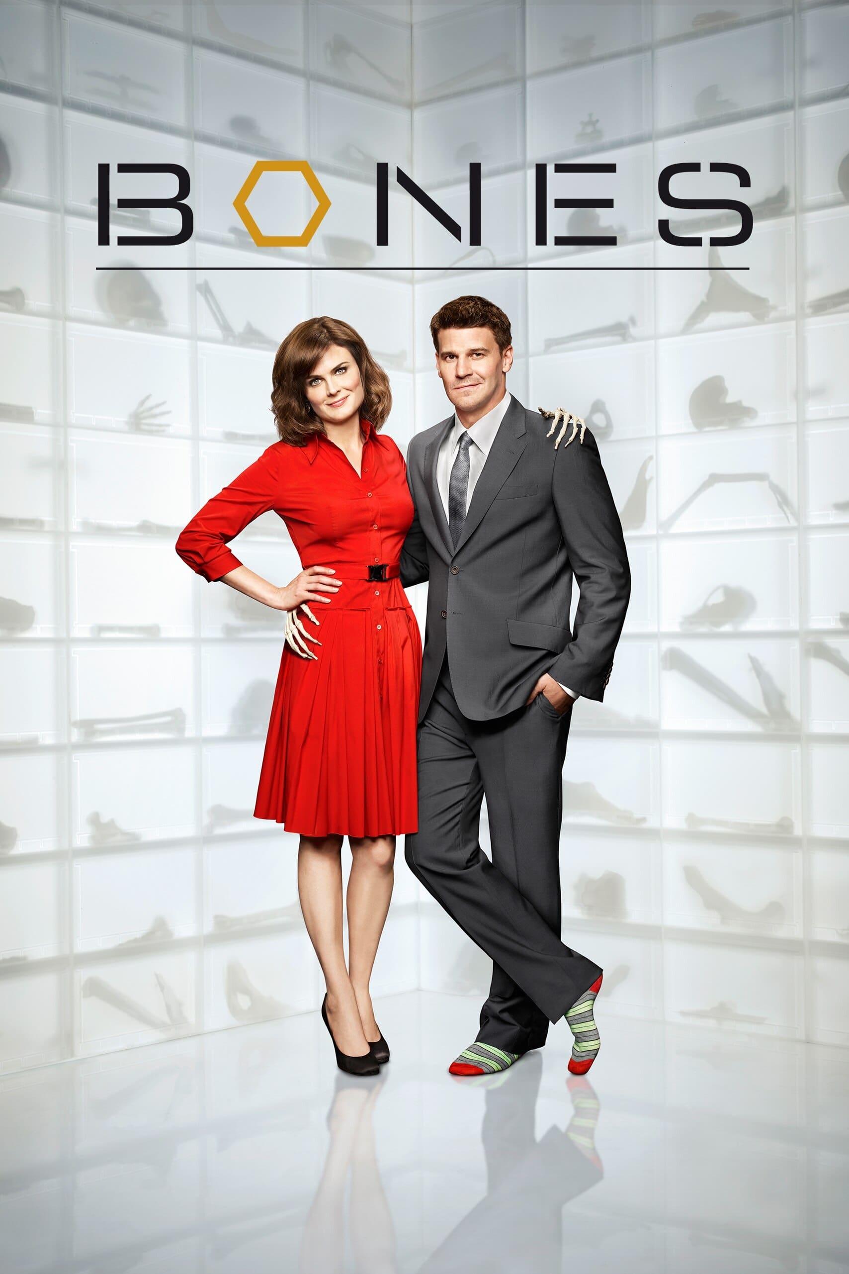 Immagine Poster serie TV 5 Bones