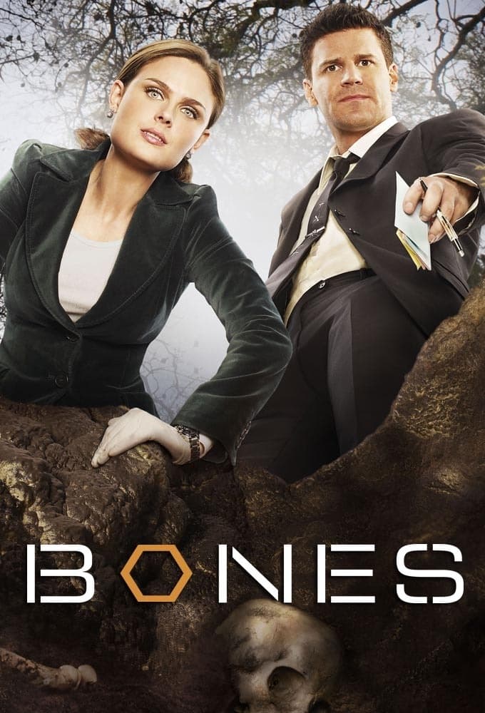 Immagine Poster serie TV 19 Bones