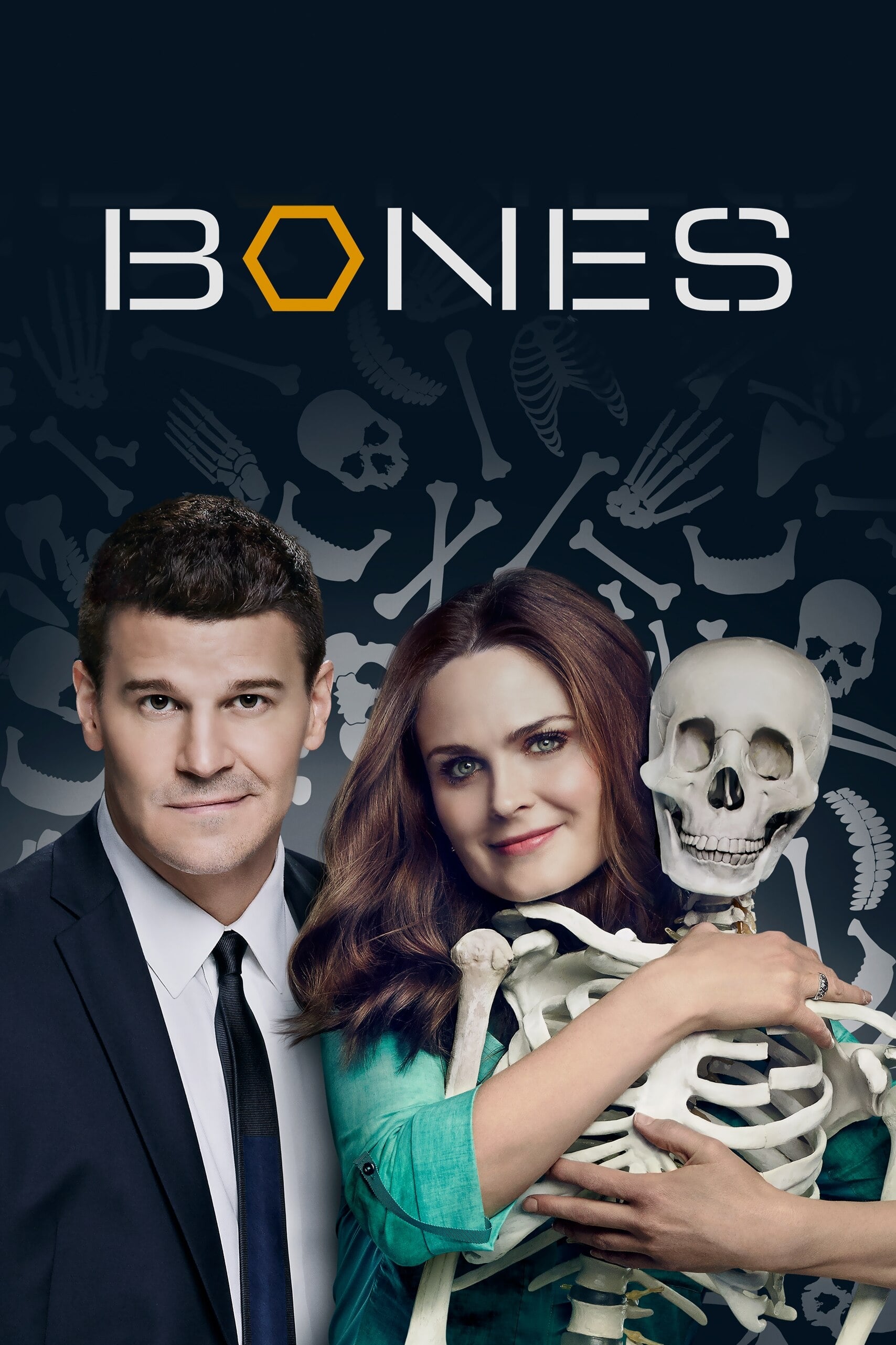 Immagine Poster serie TV 38 Bones
