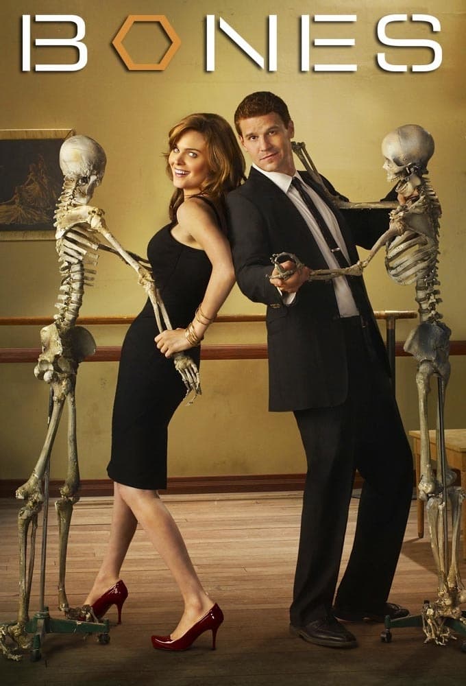 Immagine Poster serie TV 13 Bones