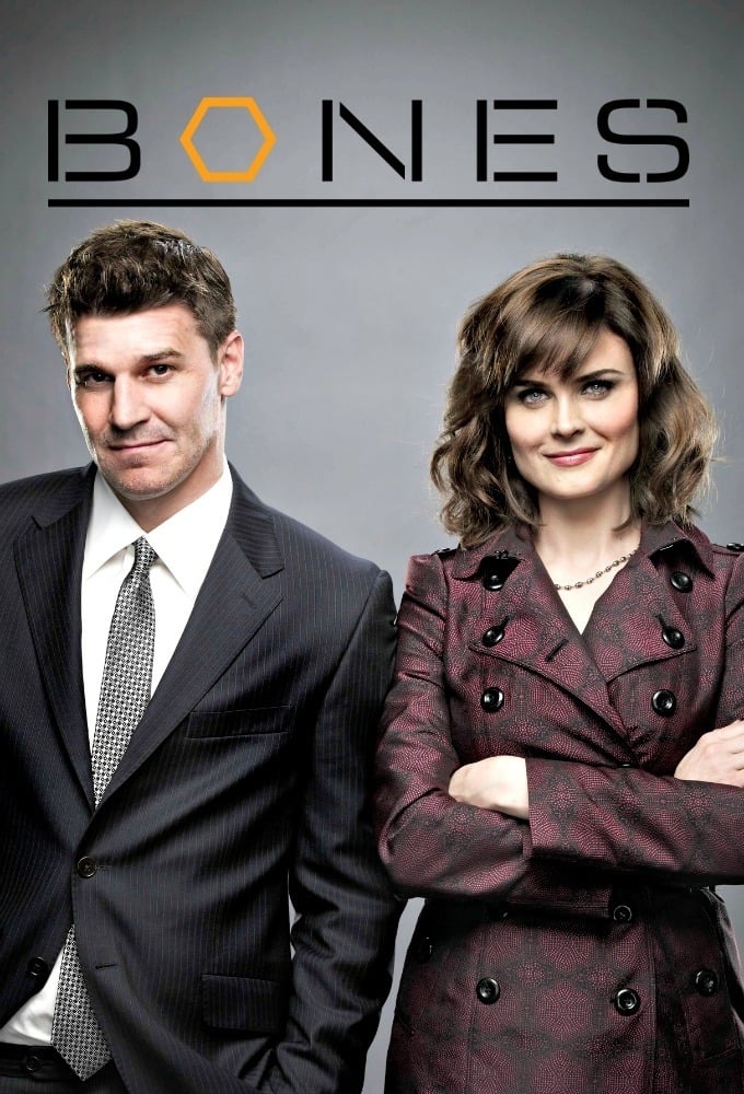 Immagine Poster serie TV 27 Bones