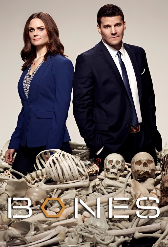 Immagine Poster serie TV 26 Bones