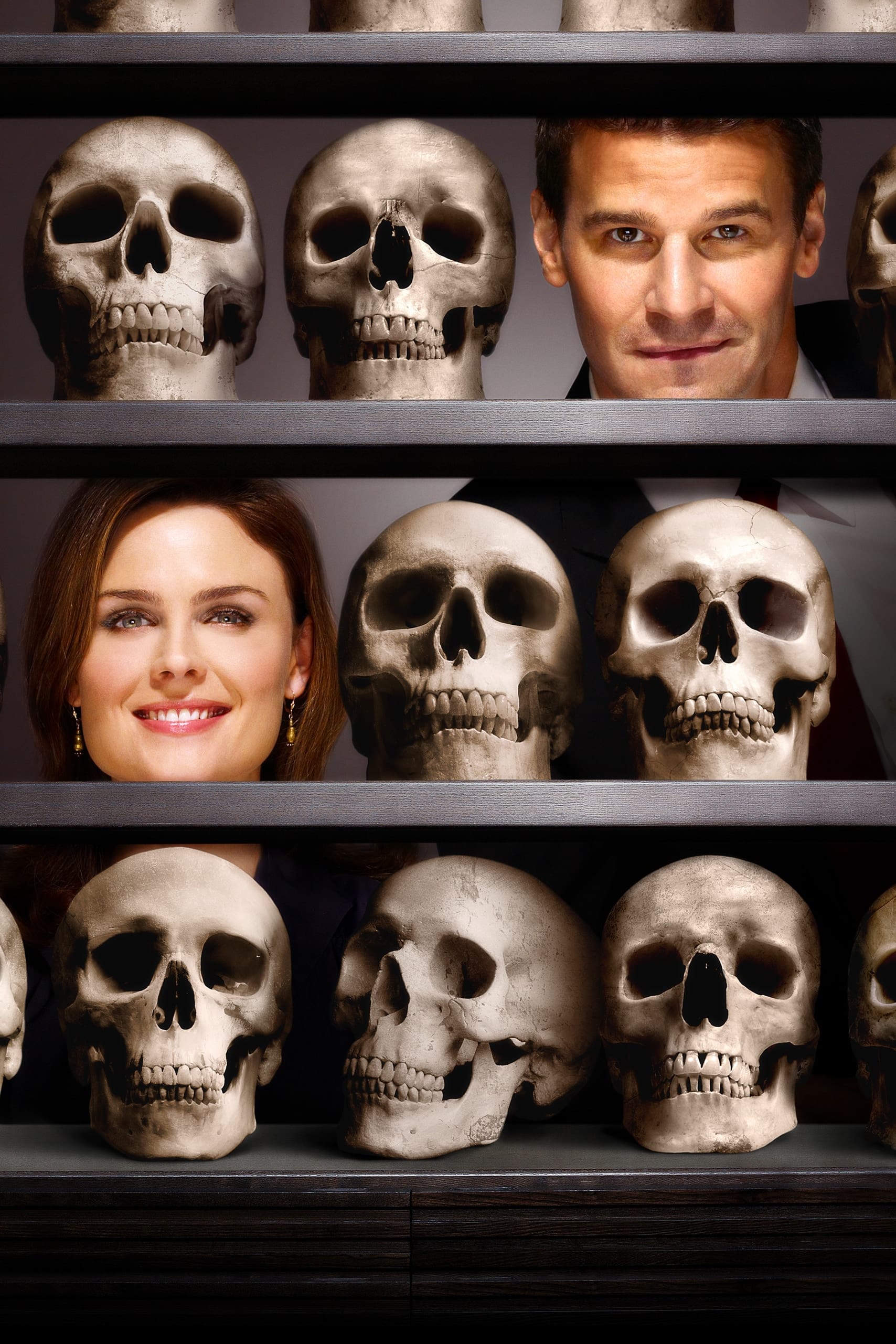 Immagine Poster serie TV 30 Bones