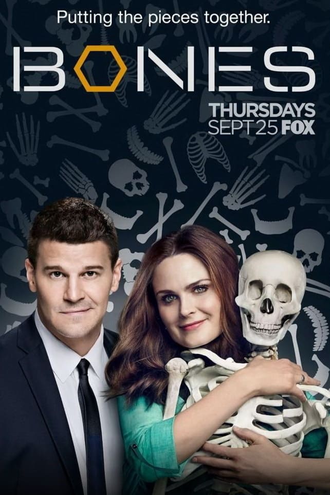 Immagine Poster serie TV 71 Bones