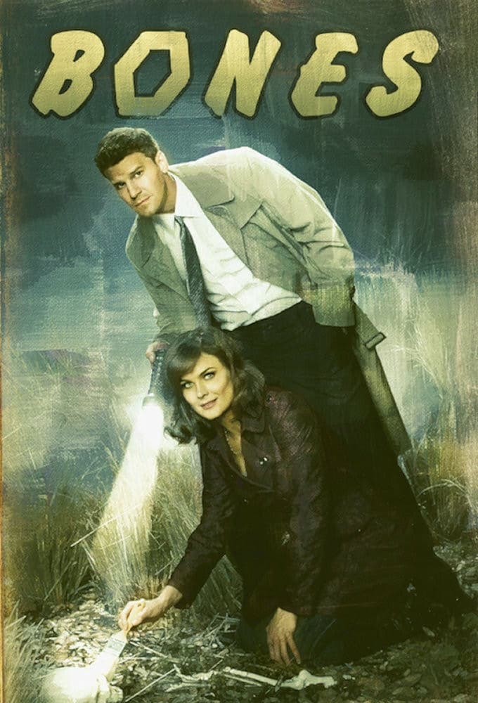 Immagine Poster serie TV 36 Bones