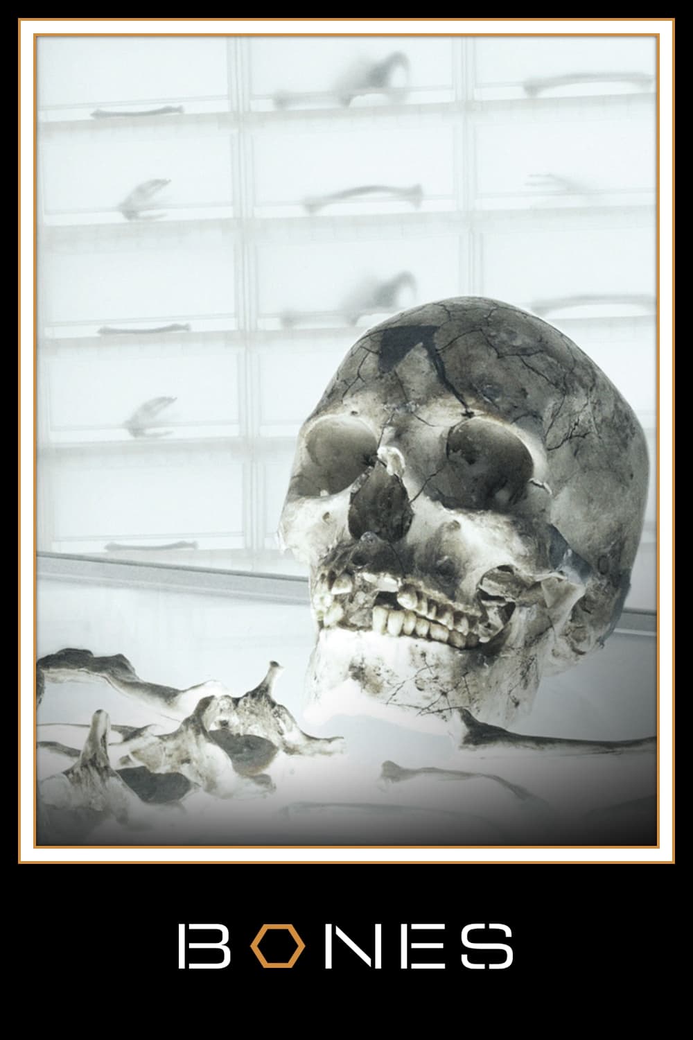 Immagine Poster serie TV 29 Bones