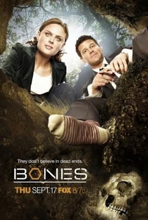 Immagine Poster serie TV 77 Bones
