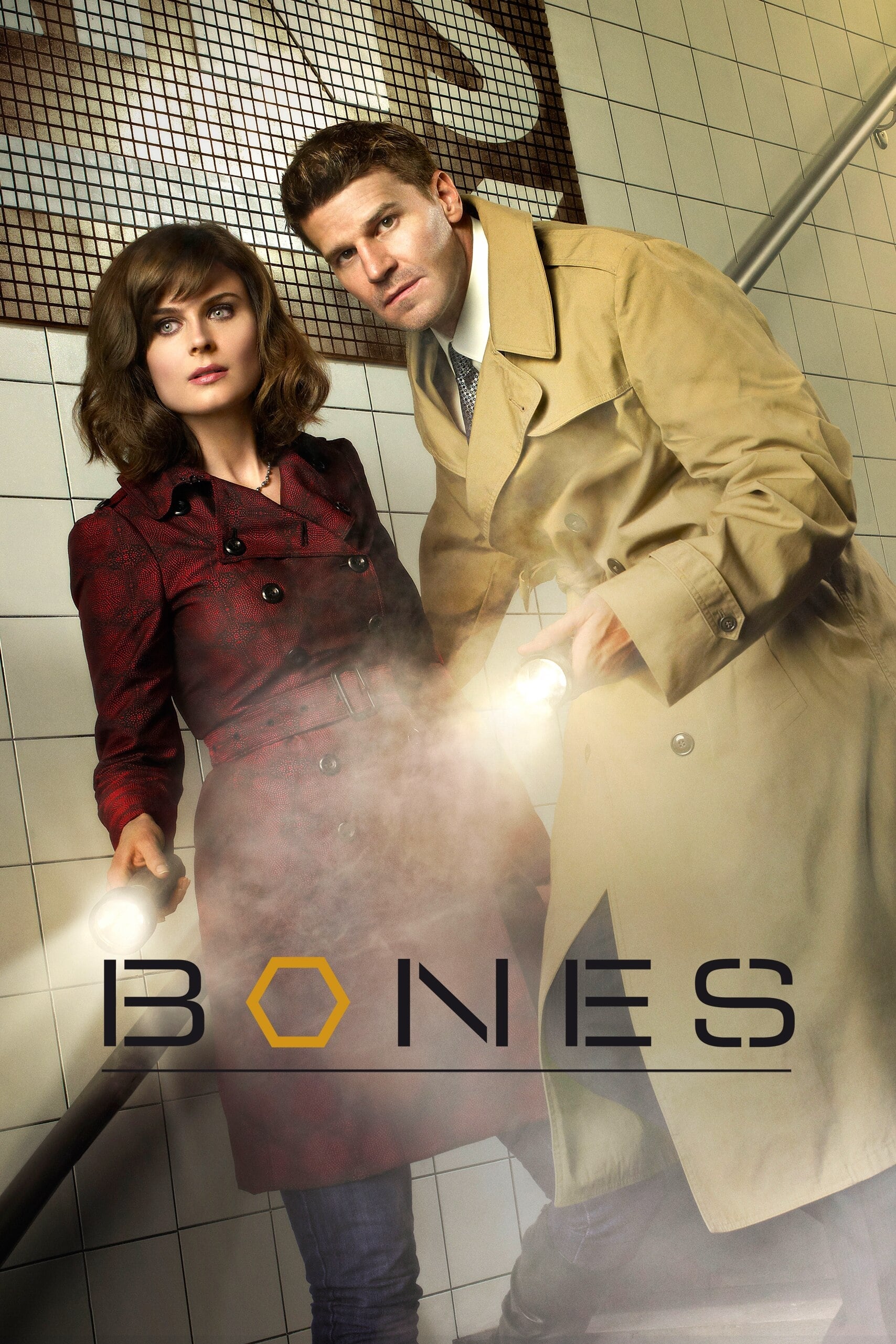Immagine Poster serie TV 9 Bones