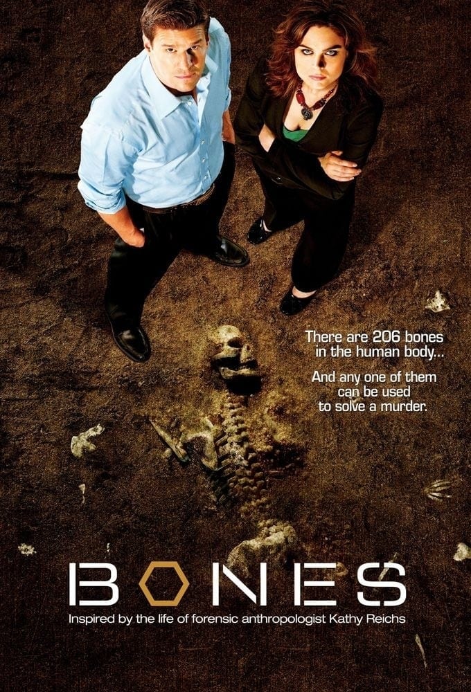 Immagine Poster serie TV 69 Bones