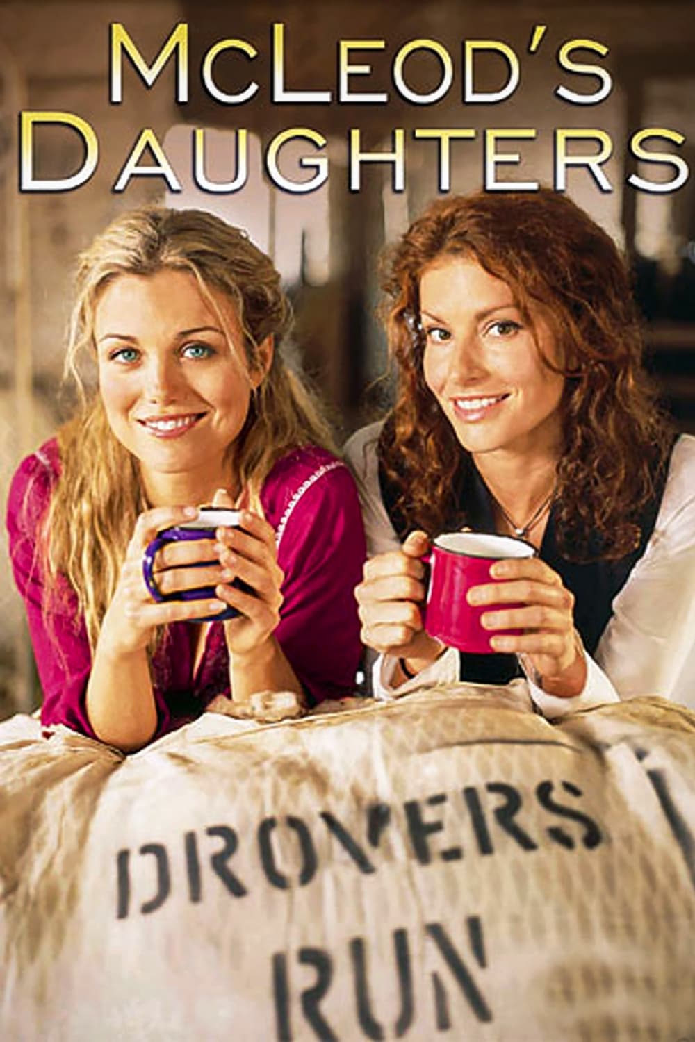Immagine Poster serie TV 2 Le sorelle McLeod