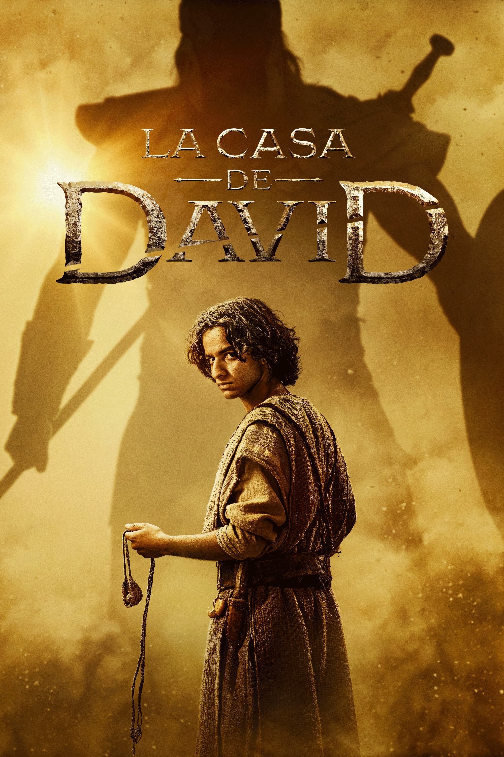 Immagine Poster serie TV 8 La casa di Davide