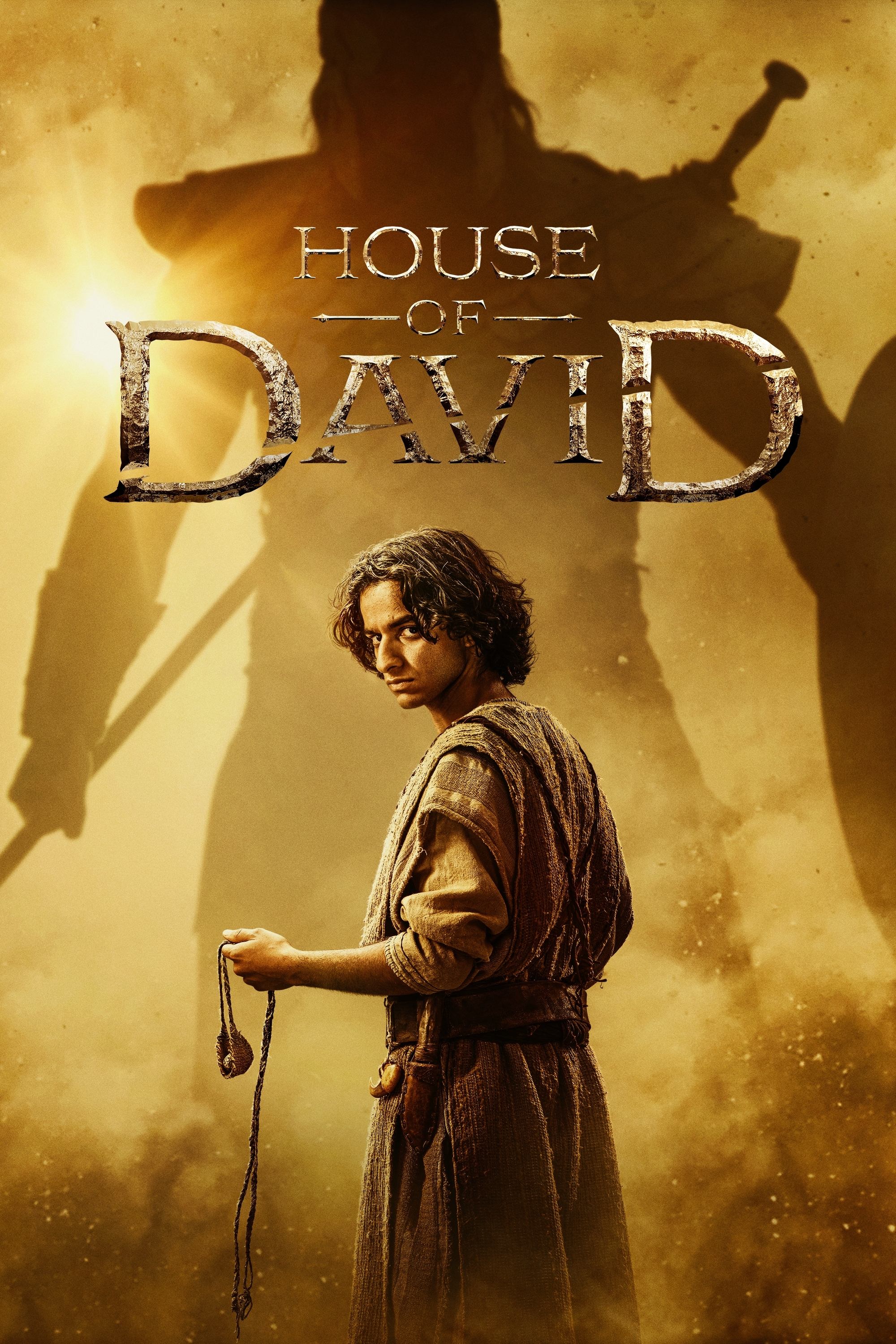 Immagine Poster serie TV 1 La casa di Davide