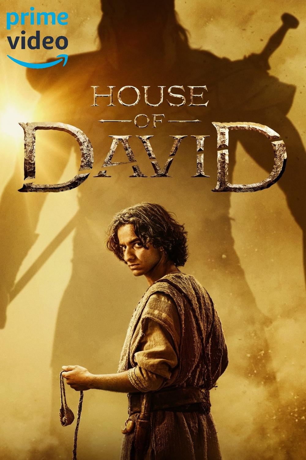 Immagine Poster serie TV 17 La casa di Davide