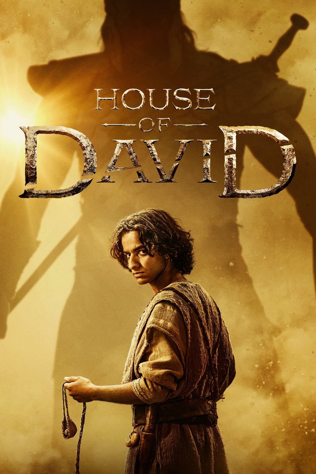 Immagine Poster serie TV 4 La casa di Davide