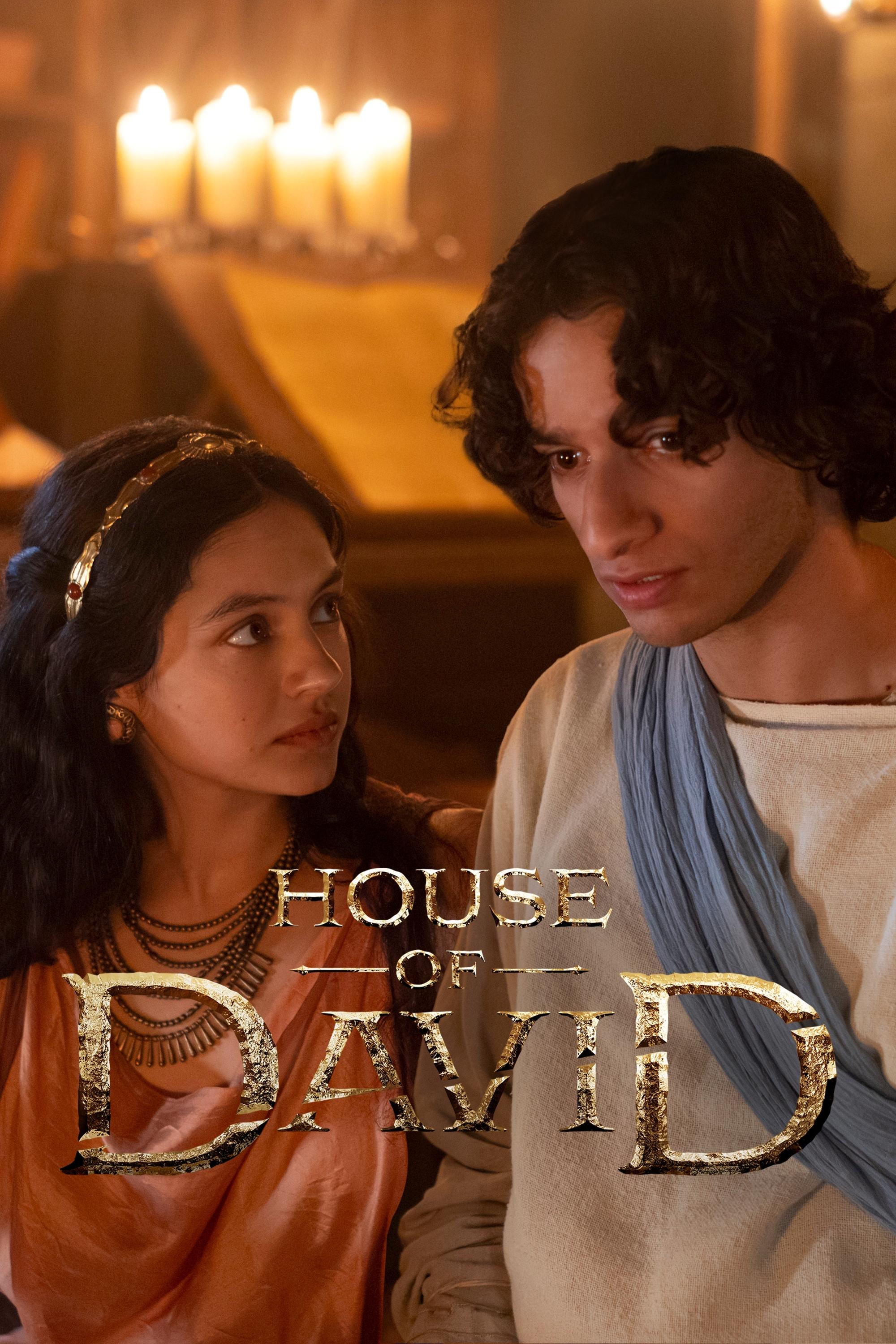 Immagine Poster serie TV 7 La casa di Davide