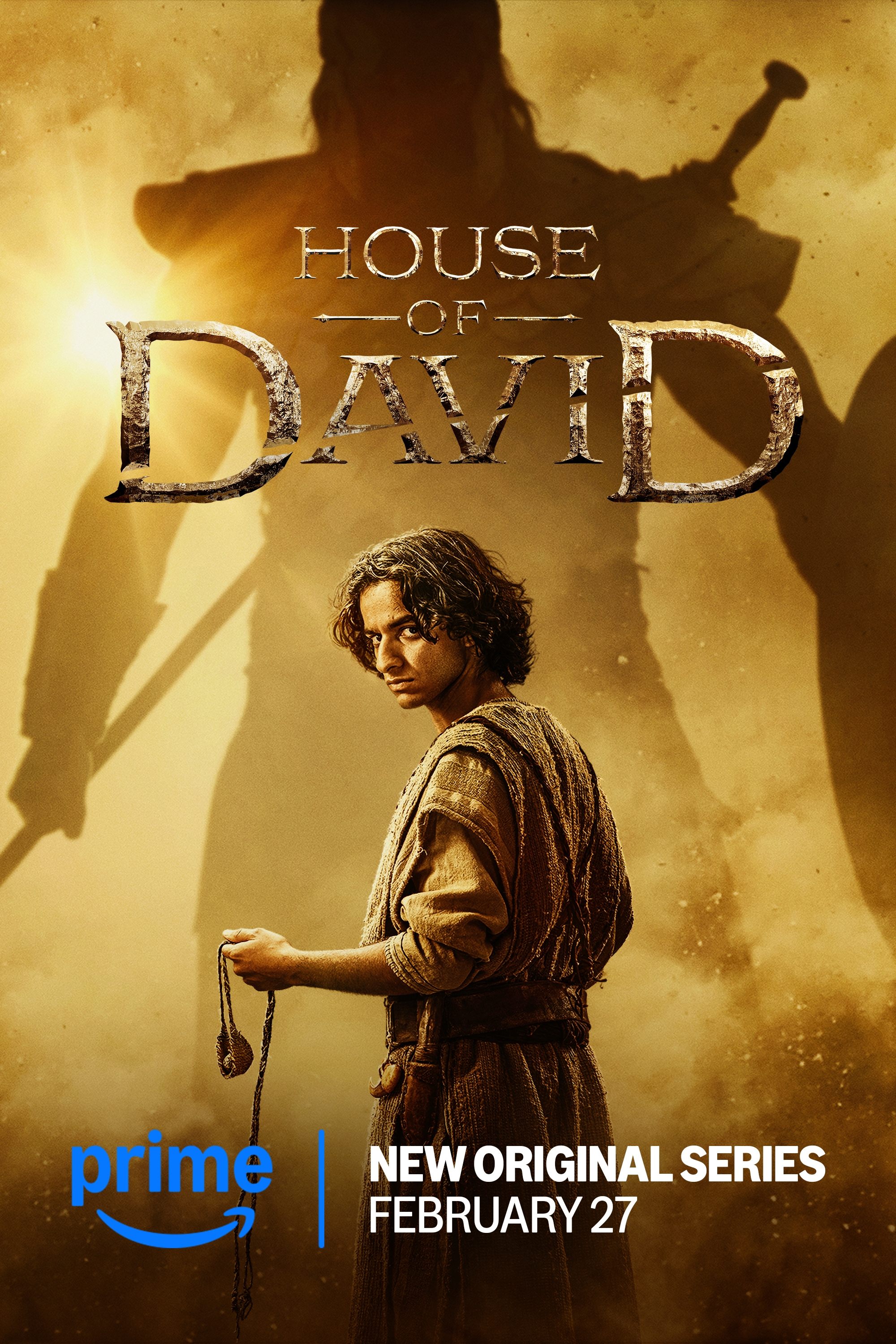 Immagine Poster serie TV 12 La casa di Davide