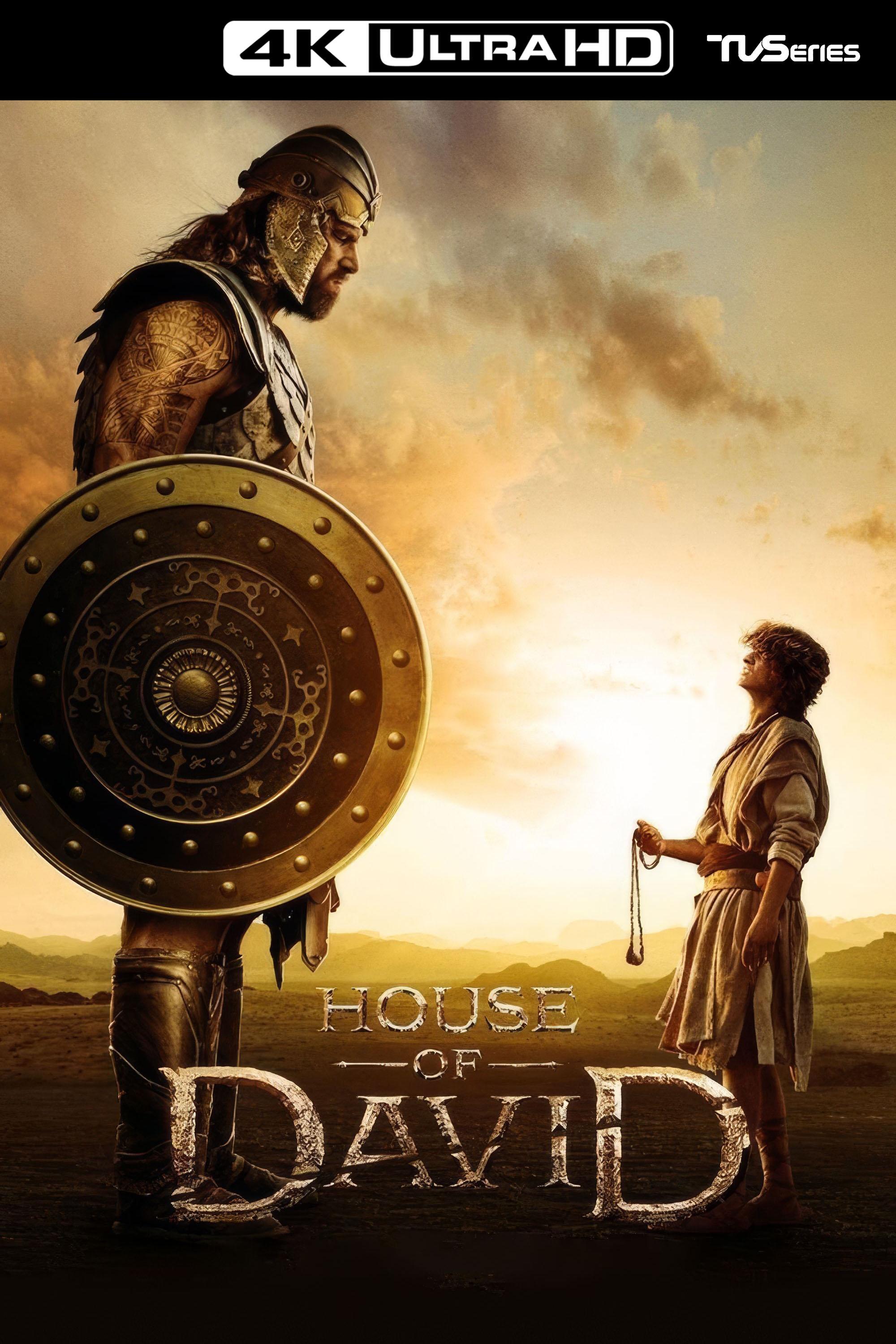 Immagine Poster serie TV 15 La casa di Davide