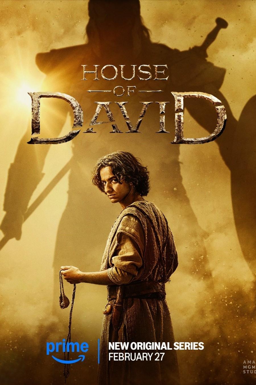 Immagine Poster serie TV 5 La casa di Davide