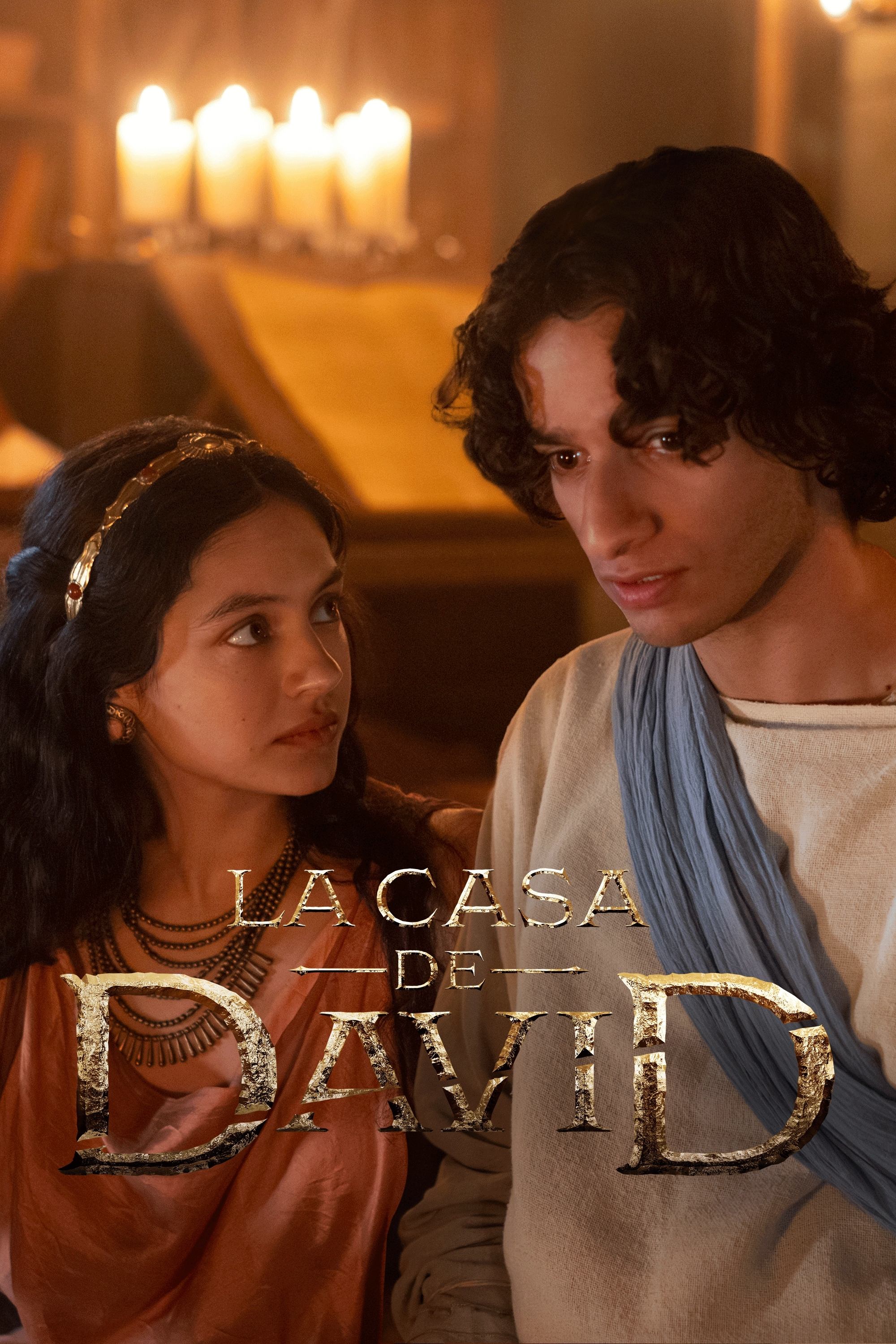 Immagine Poster serie TV 11 La casa di Davide