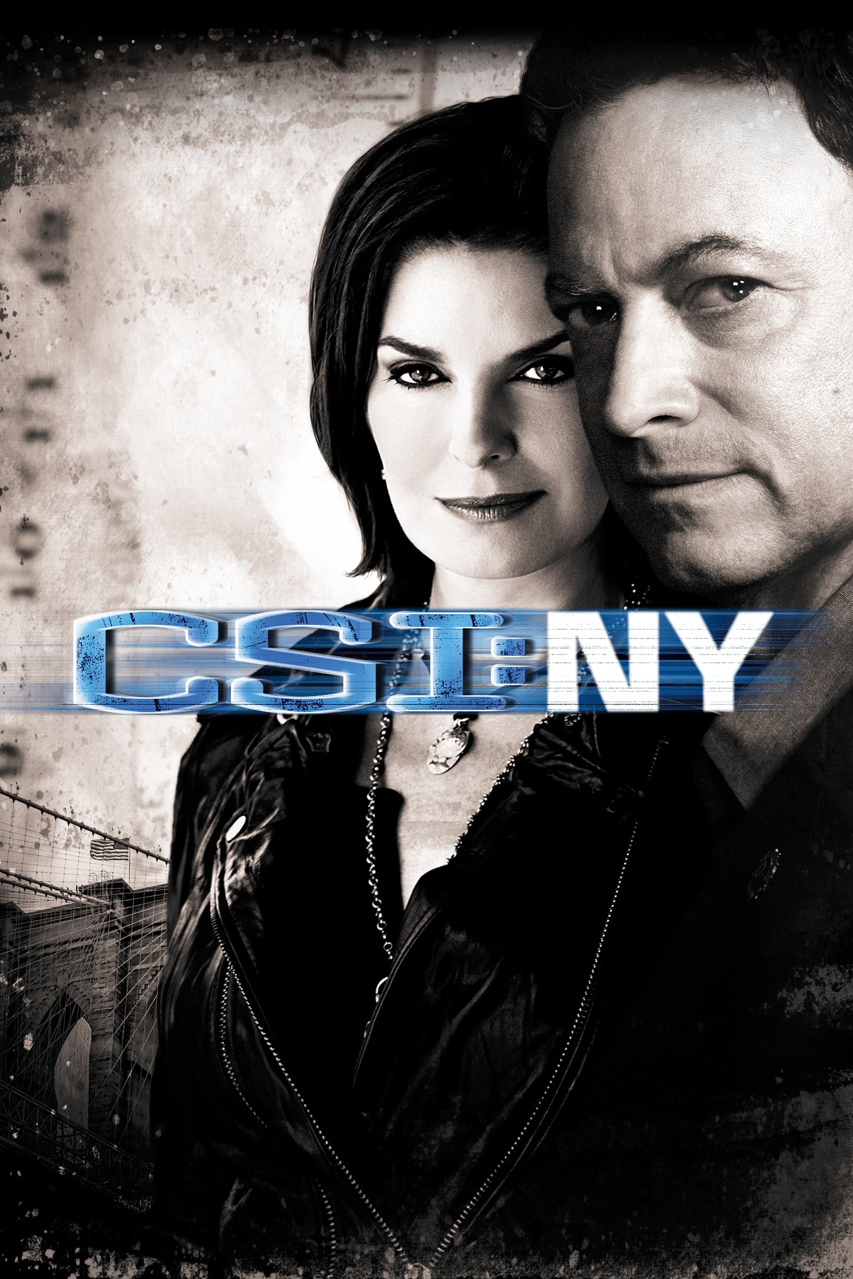 Immagine Poster serie TV 2 CSI: New York