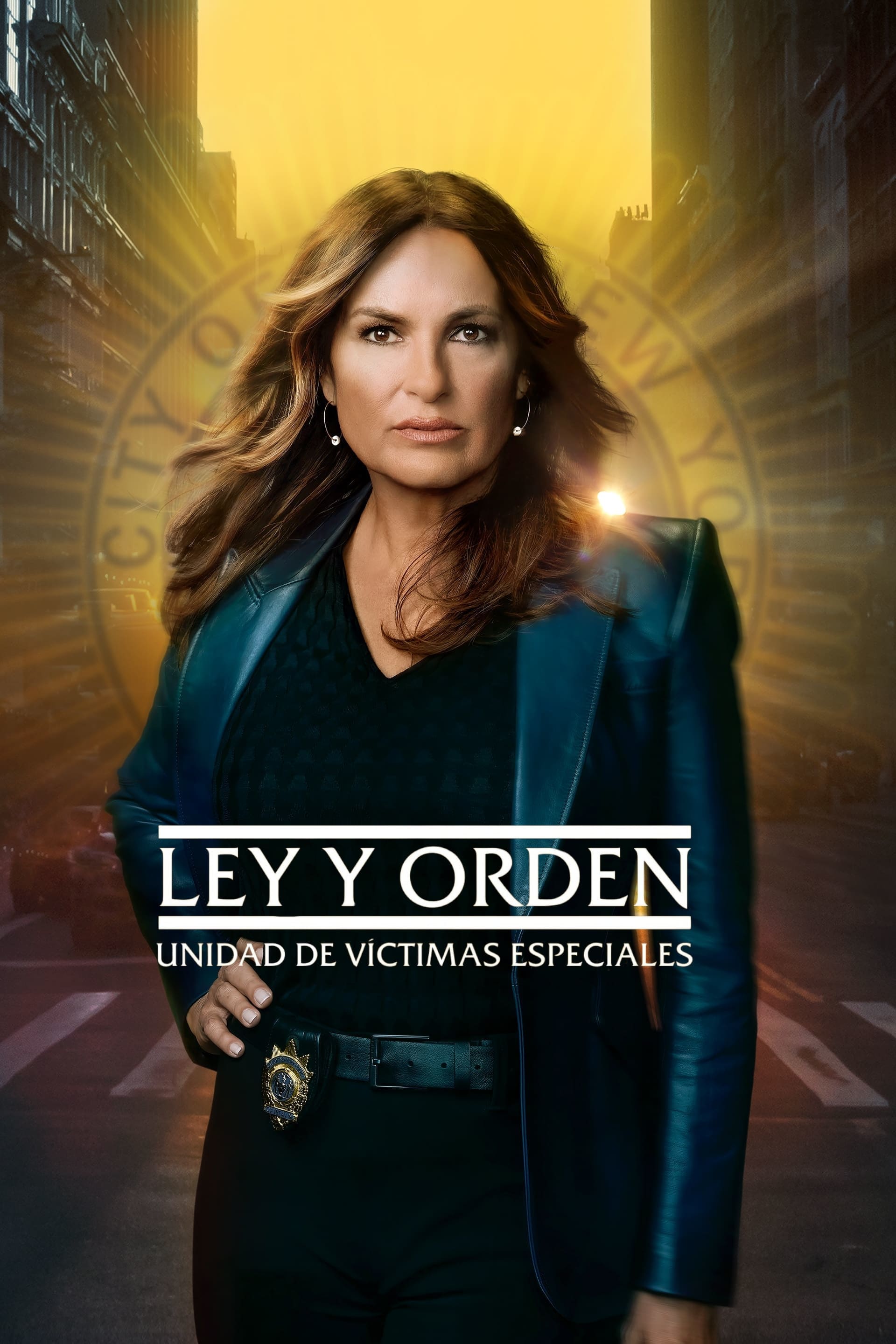 Immagine Poster serie TV 21 Law & Order - Unità vittime speciali