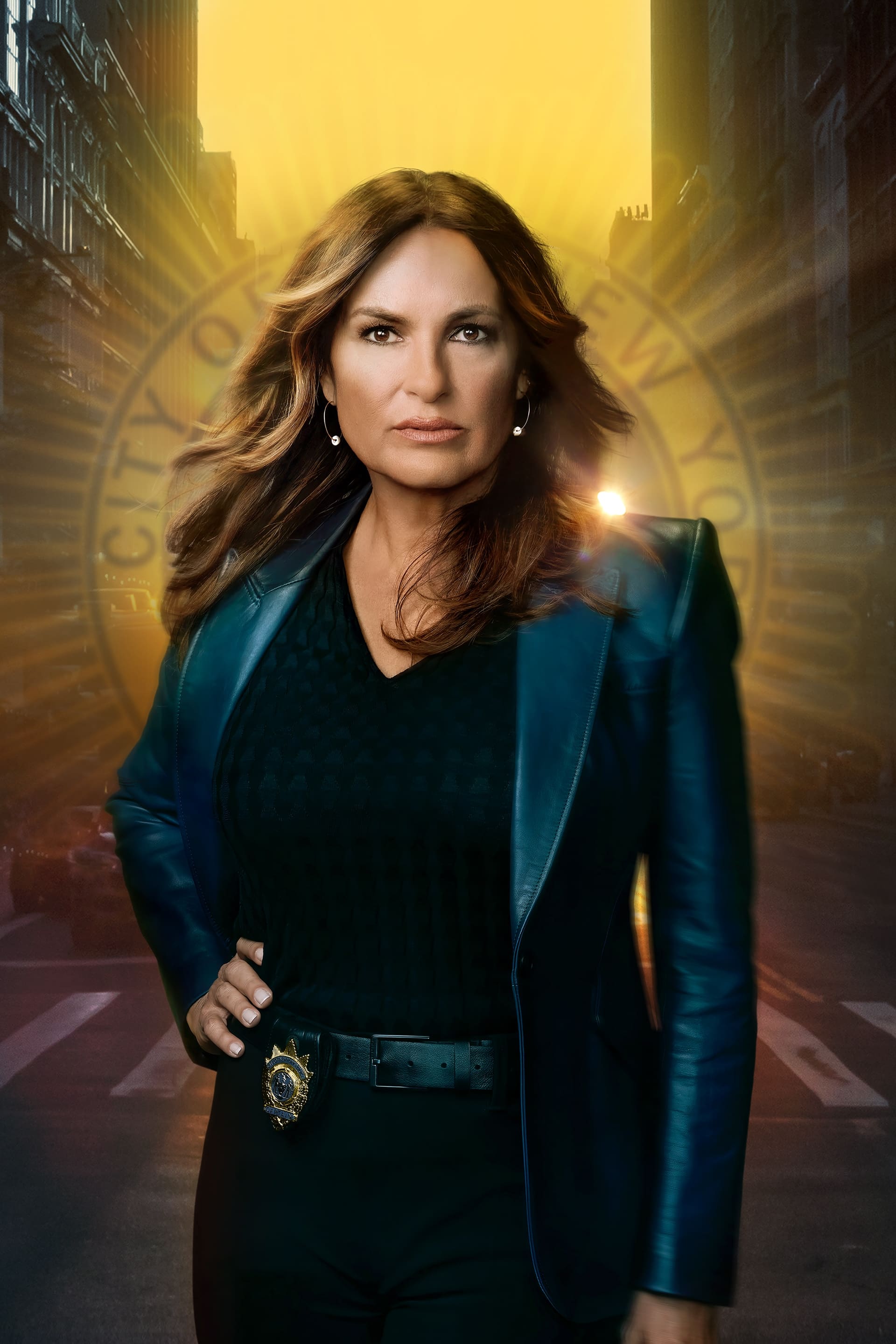 Immagine Poster serie TV 16 Law & Order - Unità vittime speciali