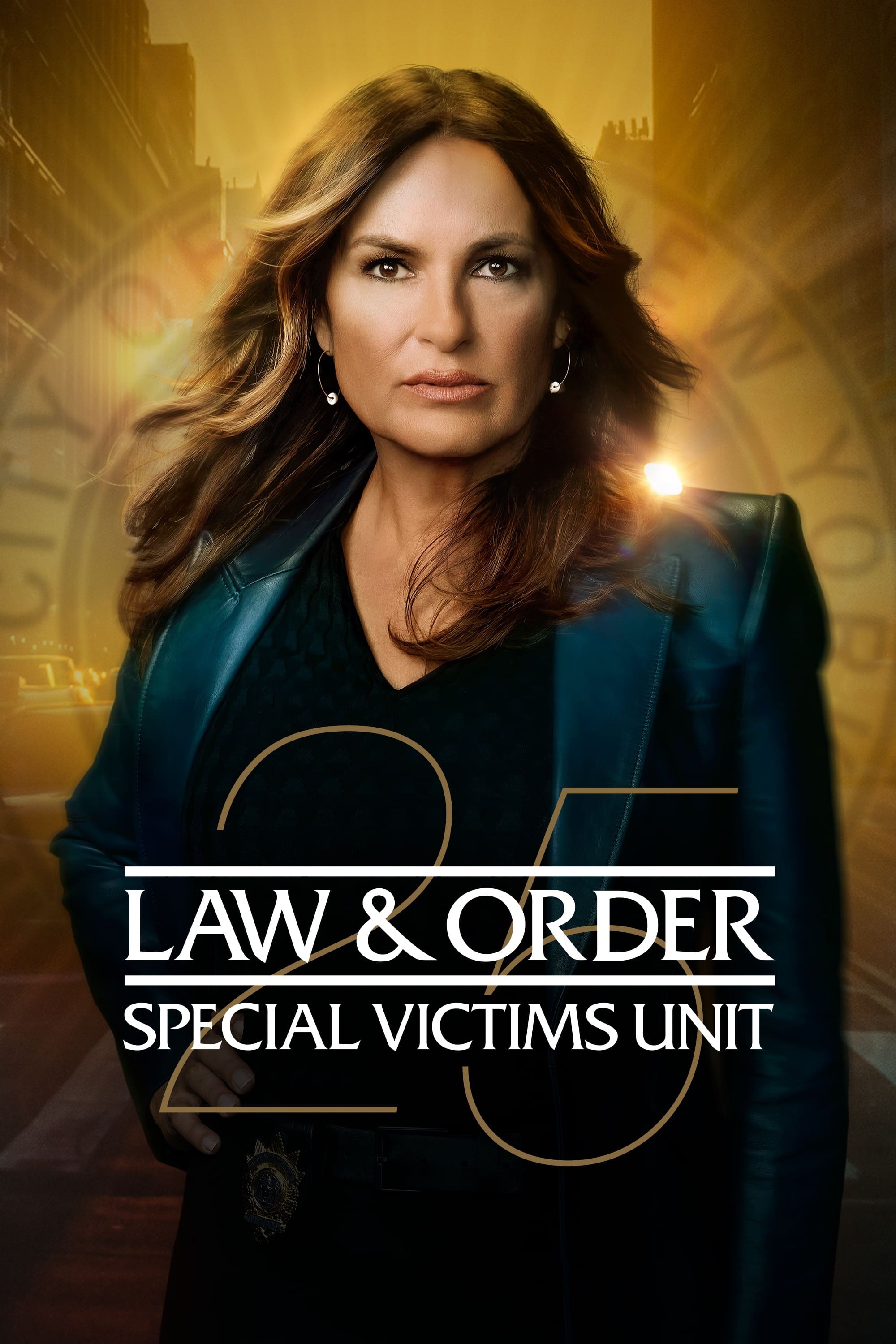 Immagine Poster serie TV 22 Law & Order - Unità vittime speciali
