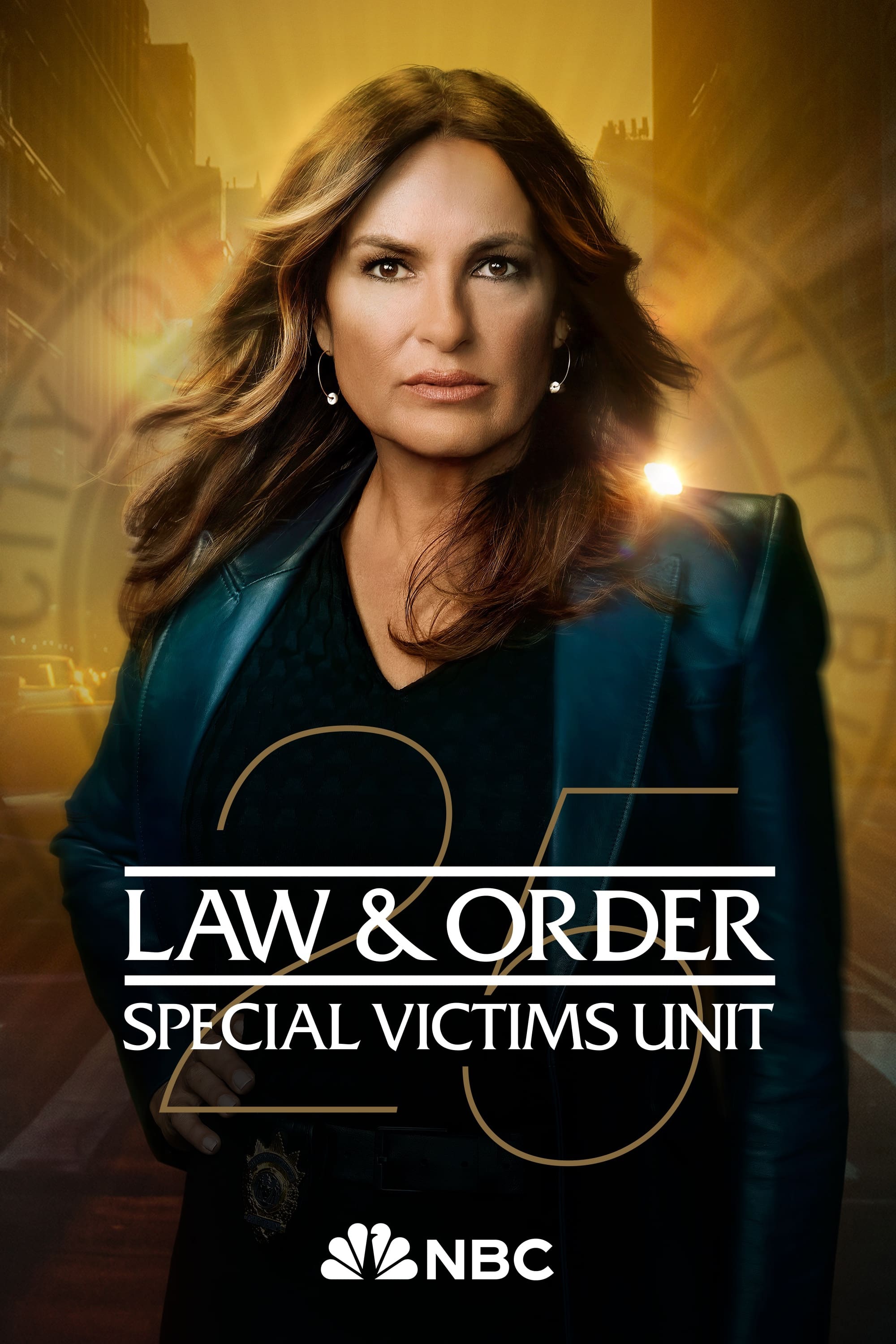 Immagine Poster serie TV 17 Law & Order - Unità vittime speciali