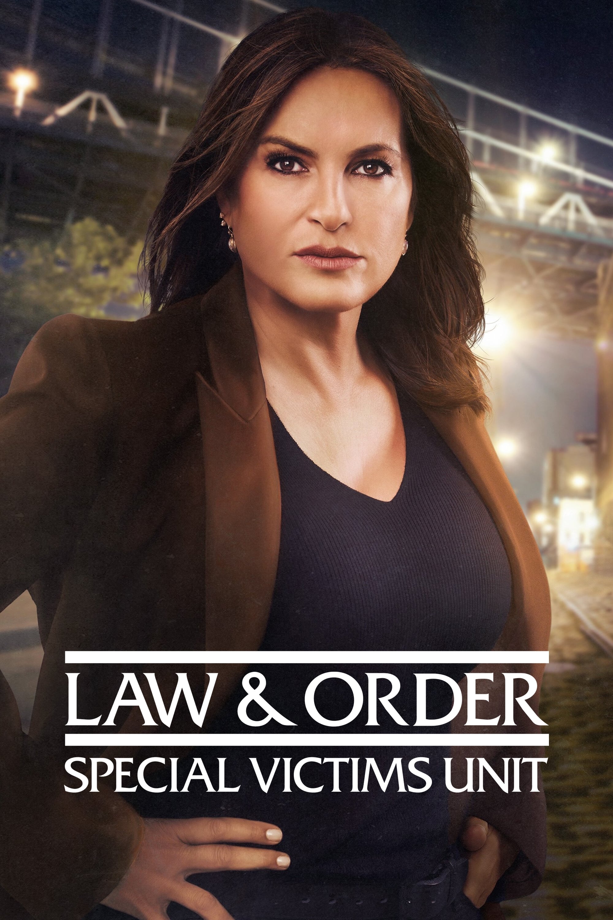 Immagine Poster serie TV 18 Law & Order - Unità vittime speciali