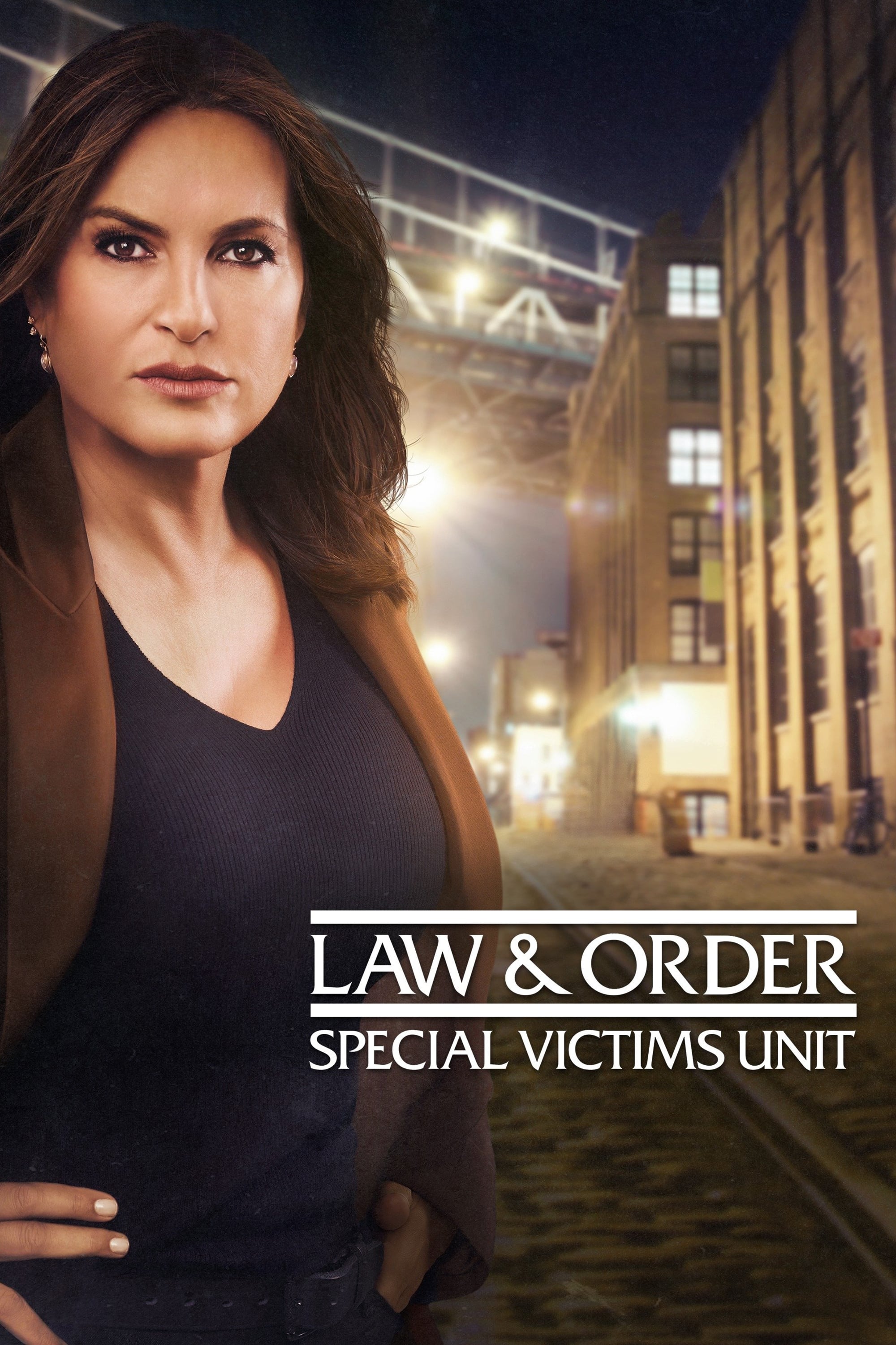 Immagine Poster serie TV 14 Law & Order - Unità vittime speciali