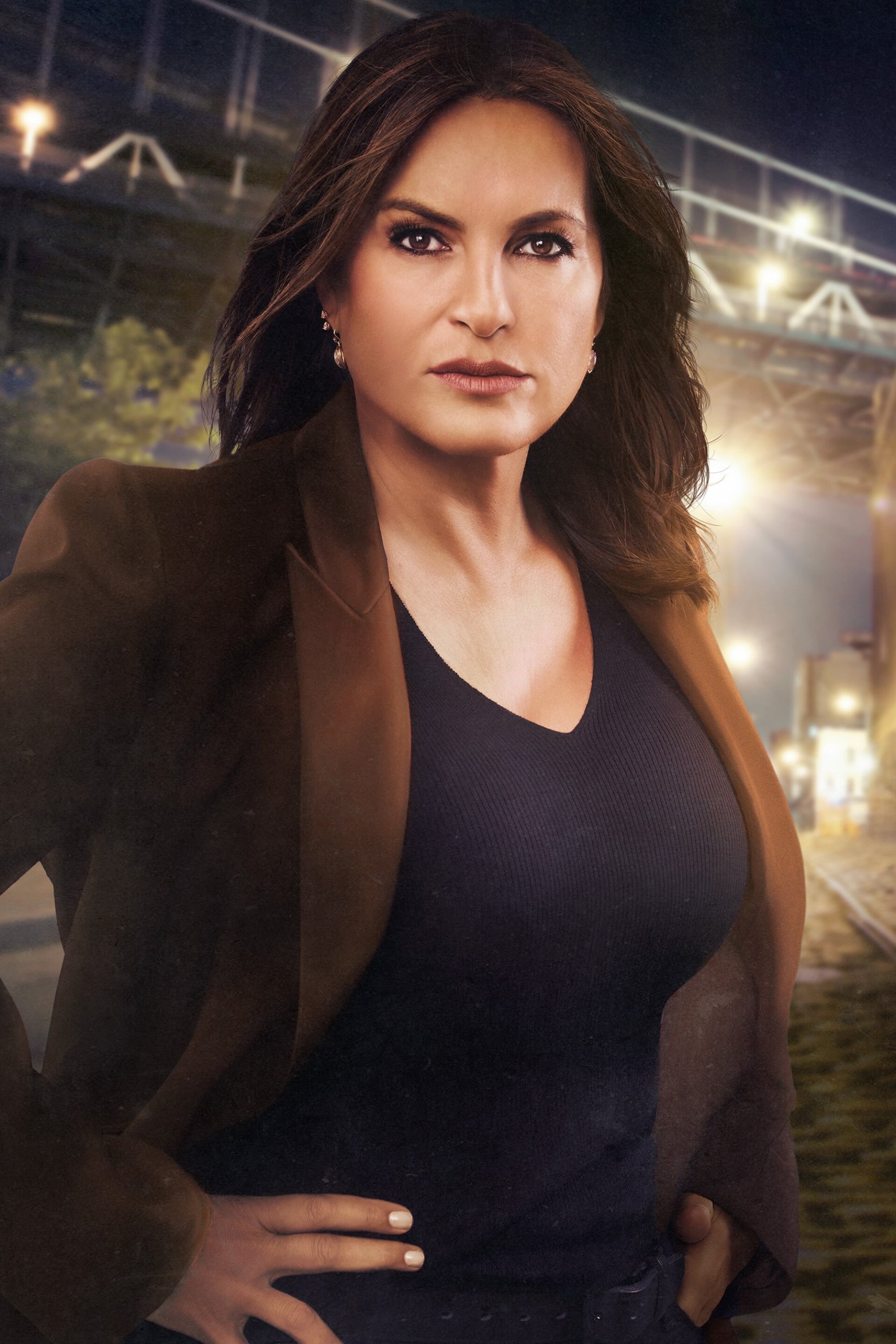 Immagine Poster serie TV 31 Law & Order - Unità vittime speciali