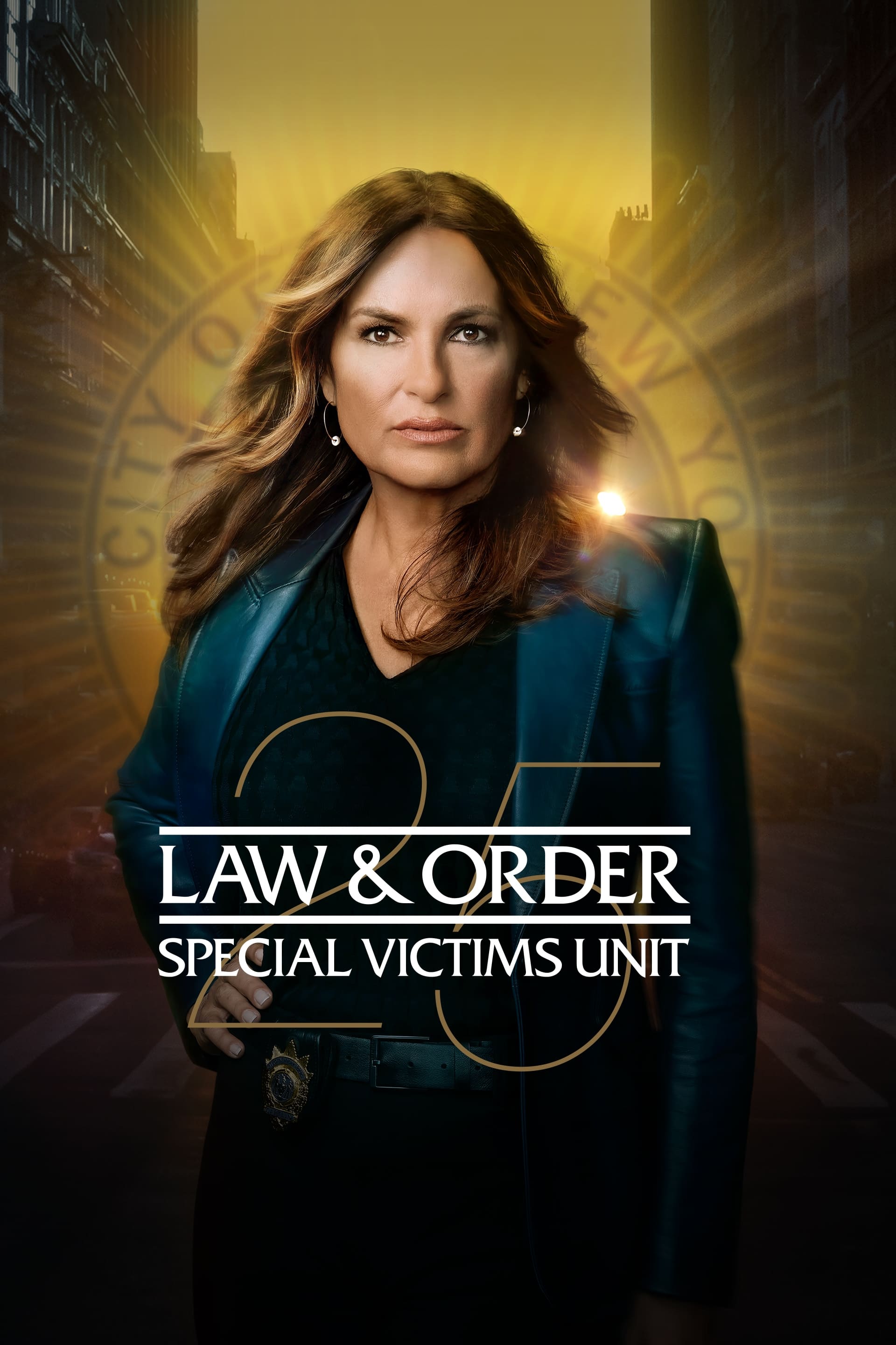 Immagine Poster serie TV 7 Law & Order - Unità vittime speciali